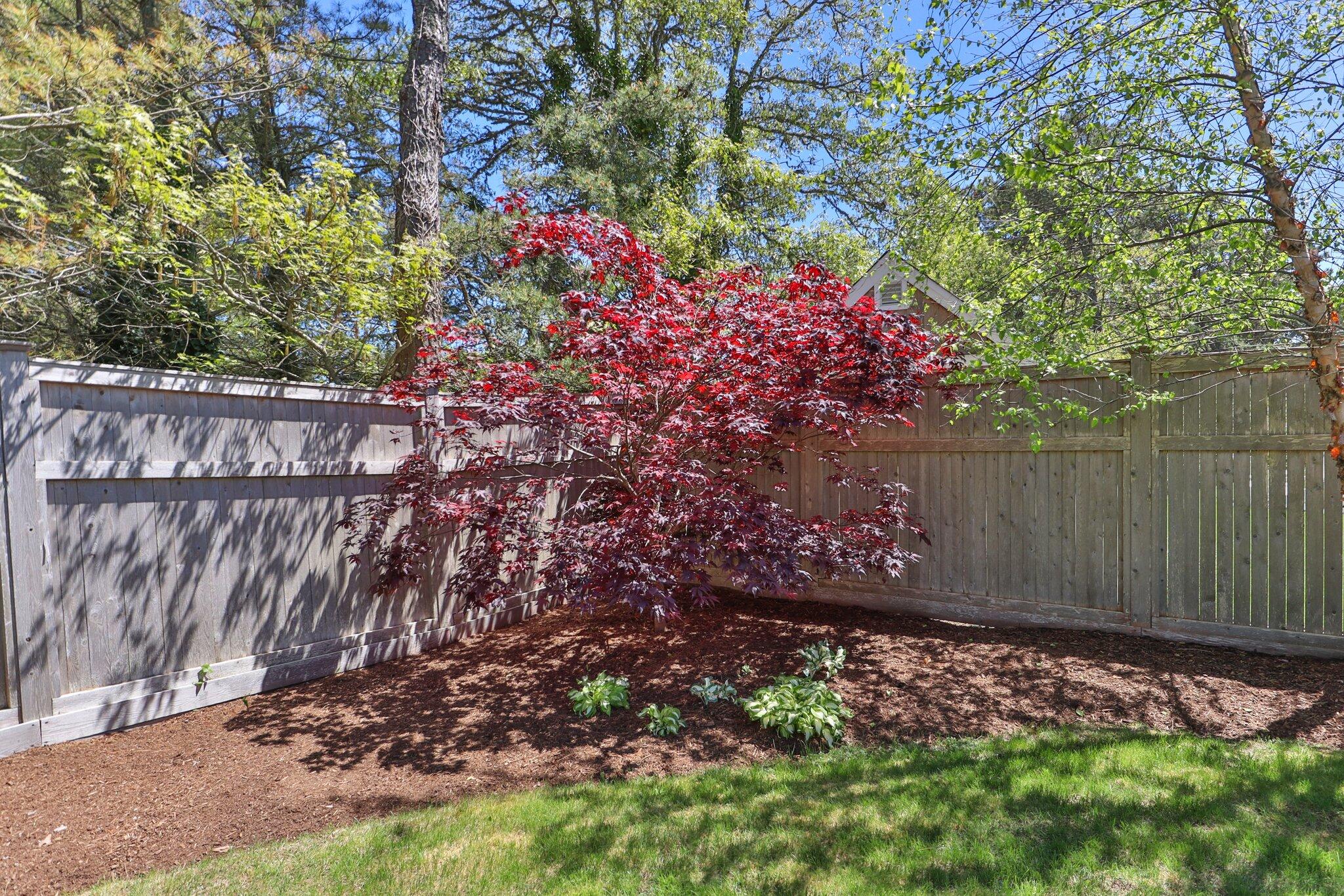35 Pine Ridge Road