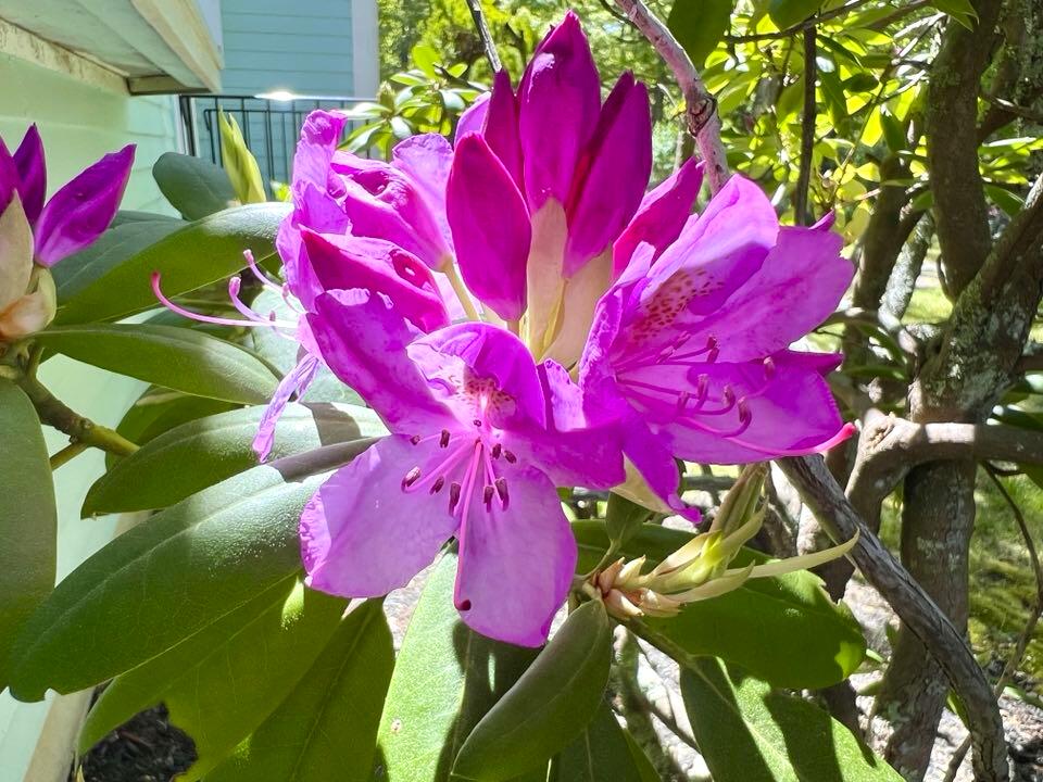 199 Timberlane Drive