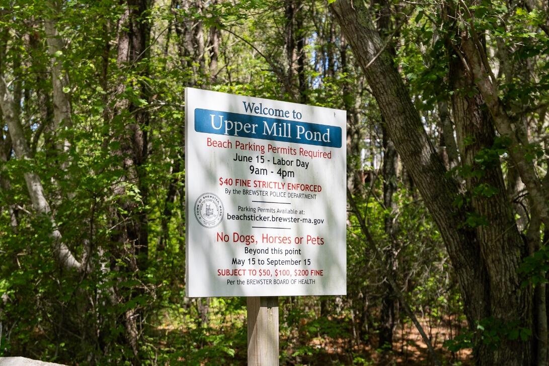 227 Run Hill Road