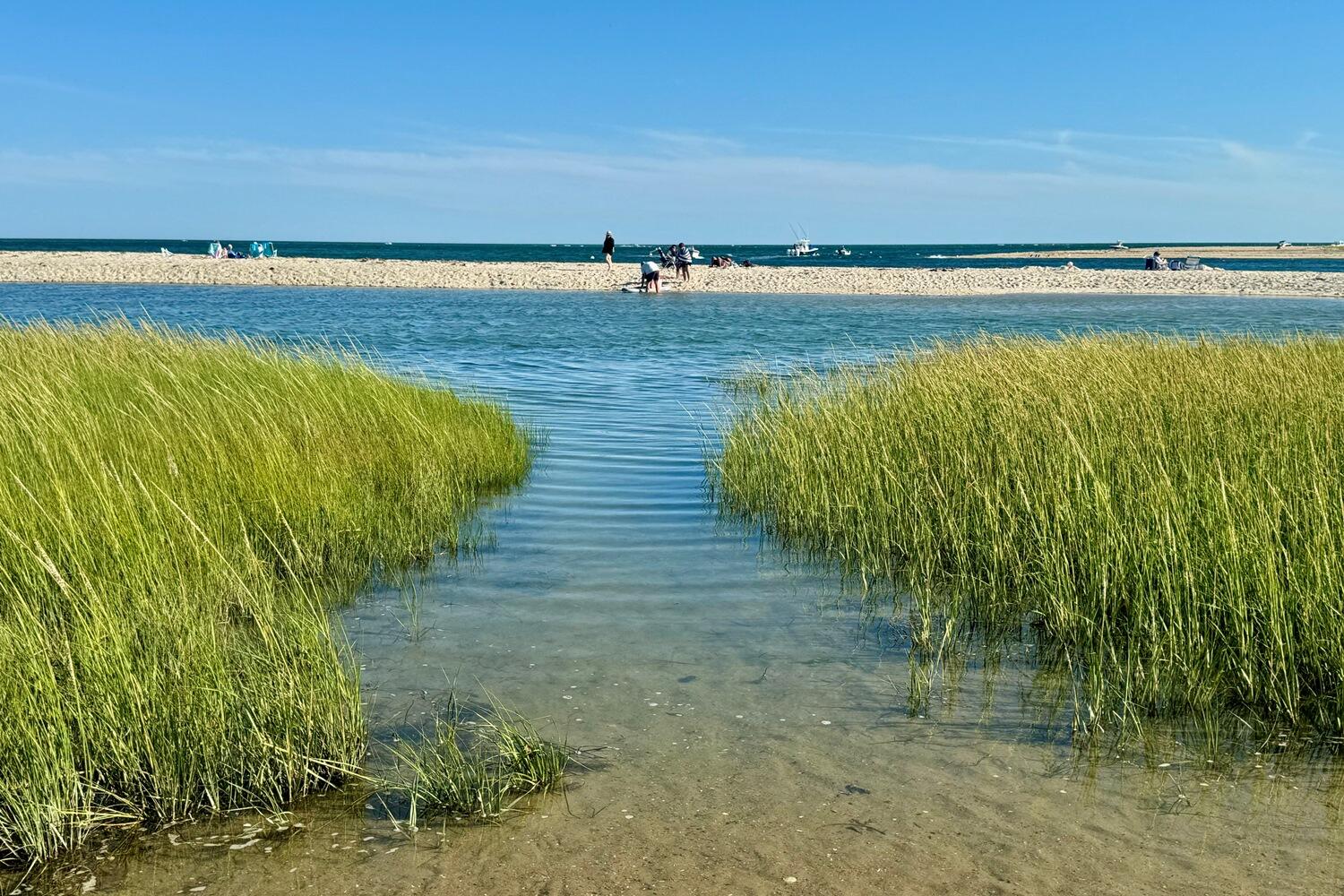 3 Oyster Drive
