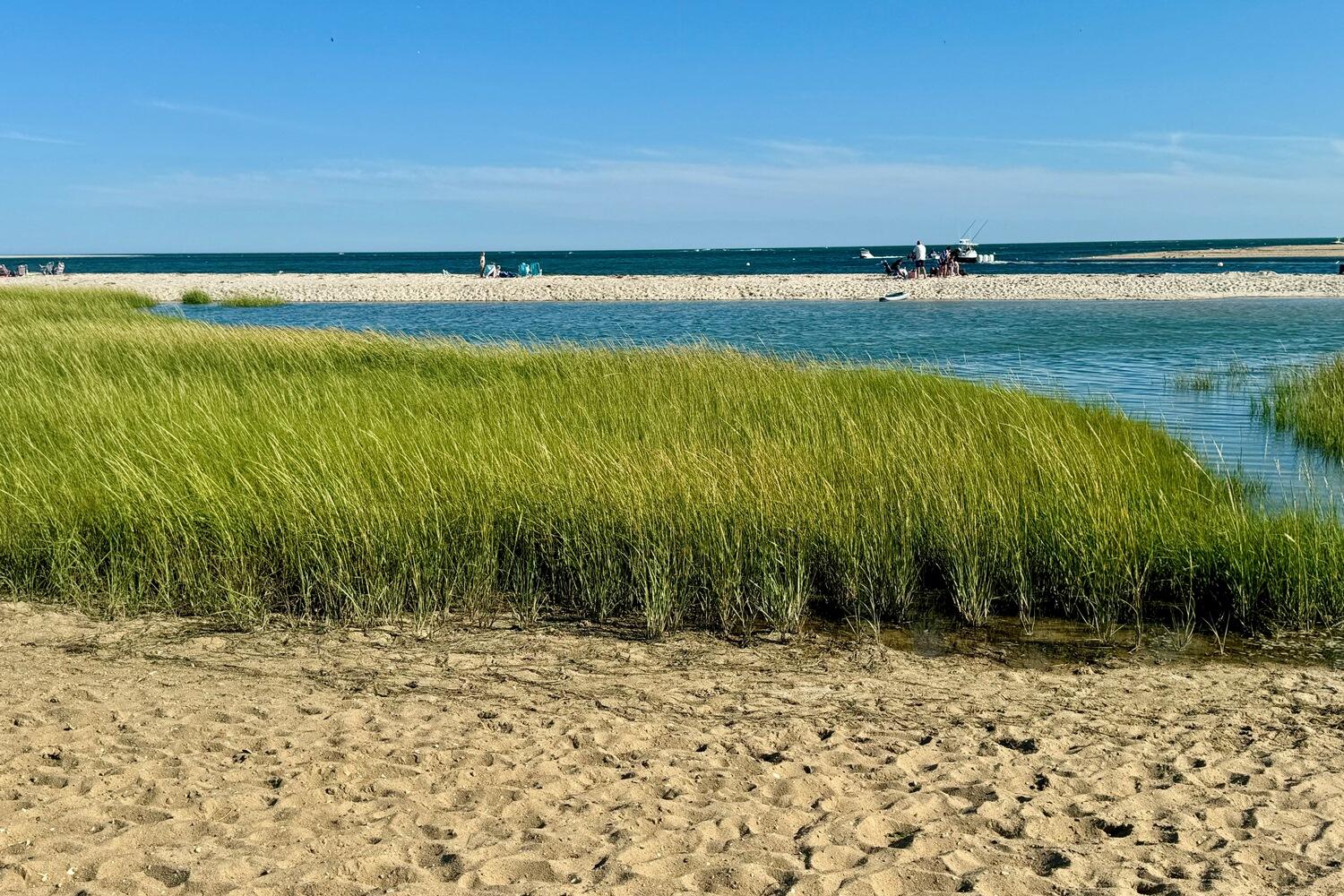 3 Oyster Drive