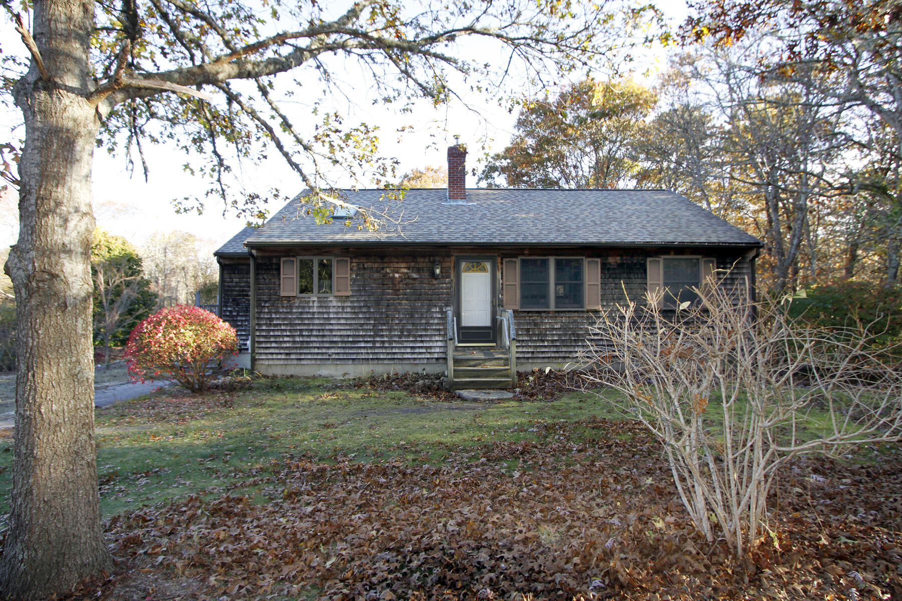 Single-story shingle-sided home framed by mature trees, with autumn leaves across the front yard.