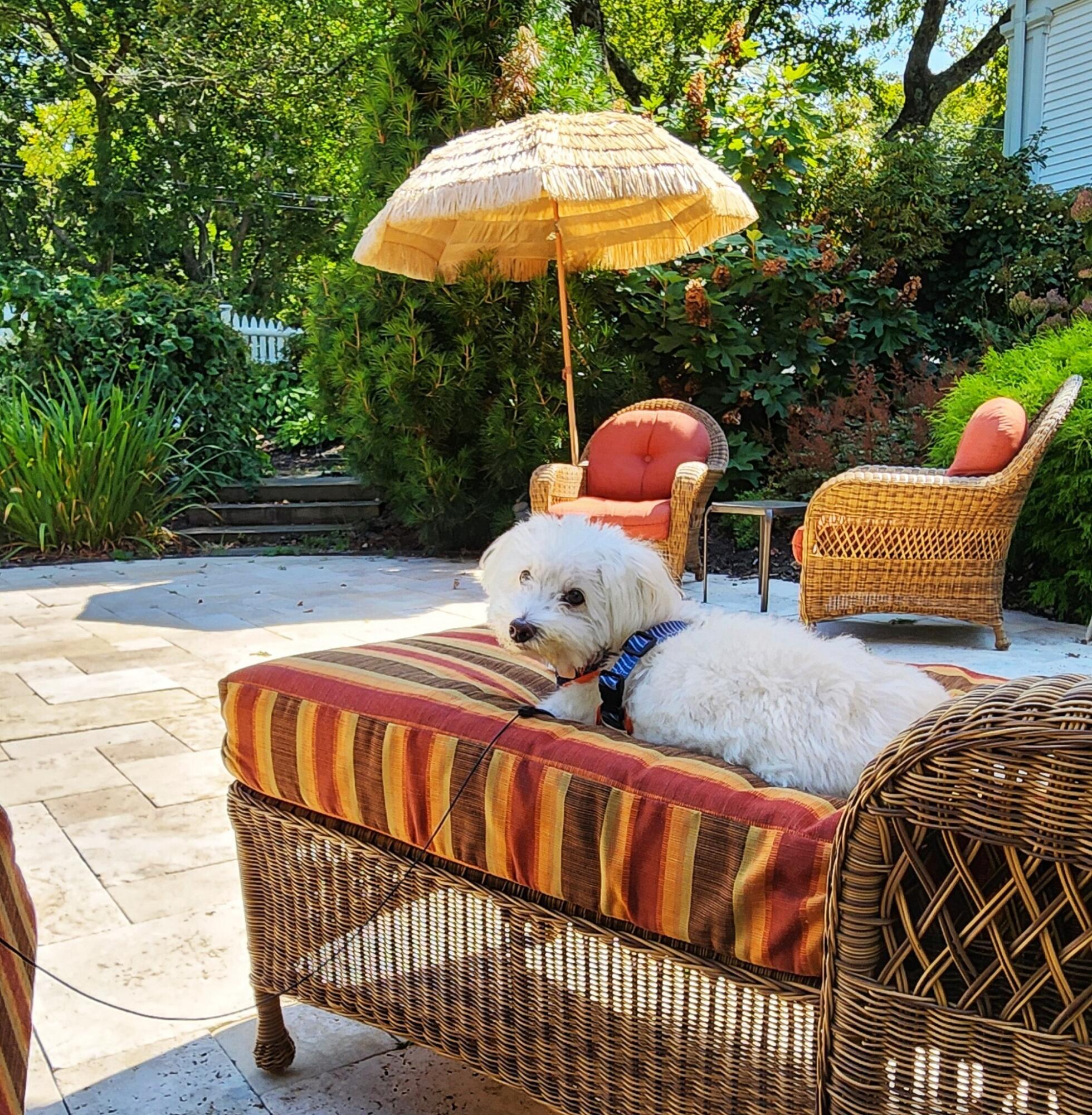 436 South Main Street