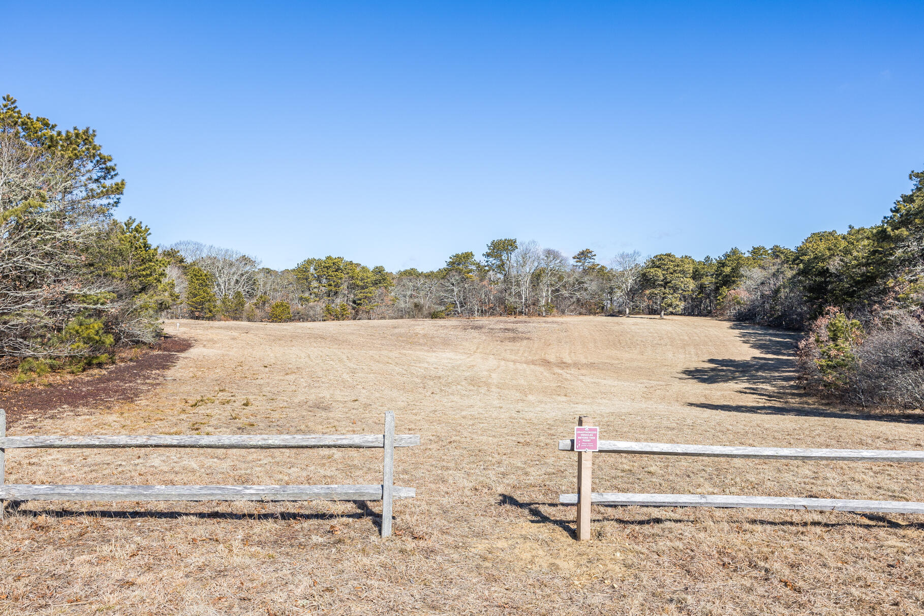 55 Twine Field Drive