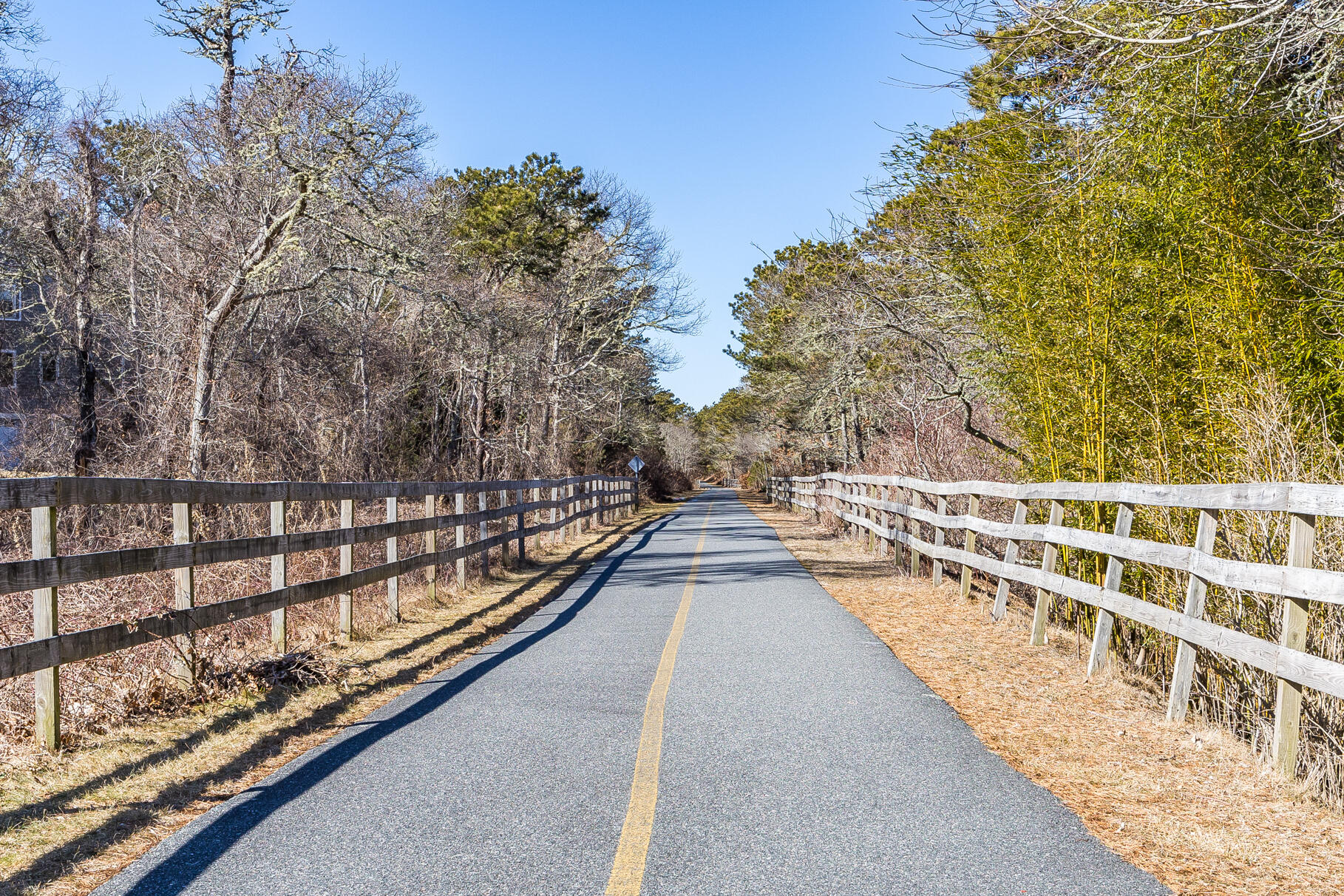 55 Twine Field Drive