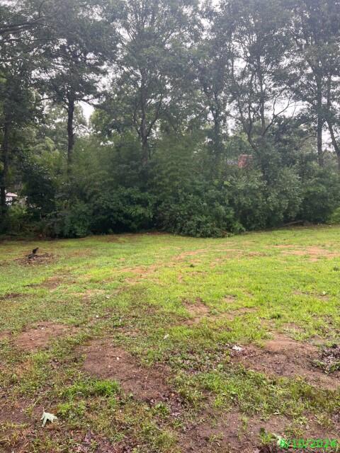 207 Plum Hollow Road