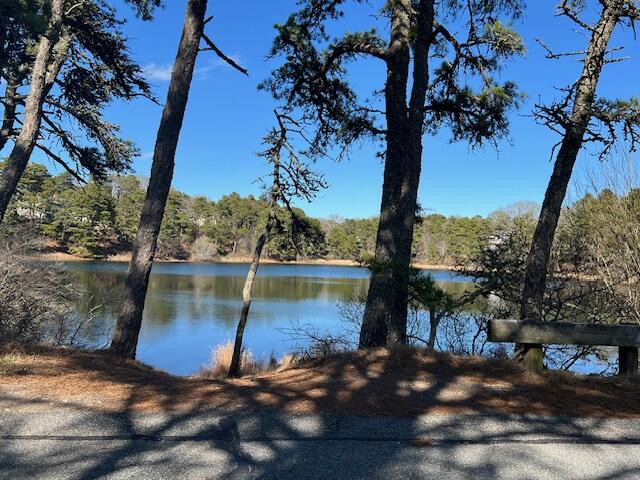 307 Riverview Drive, Chatham