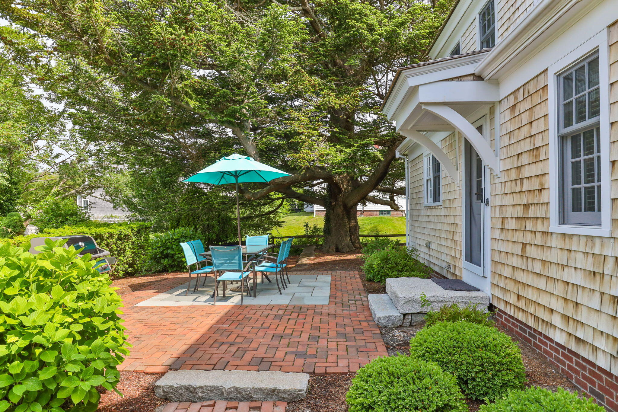 51 Shattuck Place