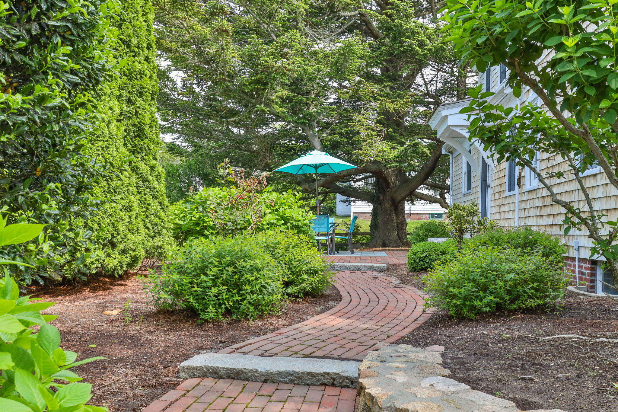 51 Shattuck Place