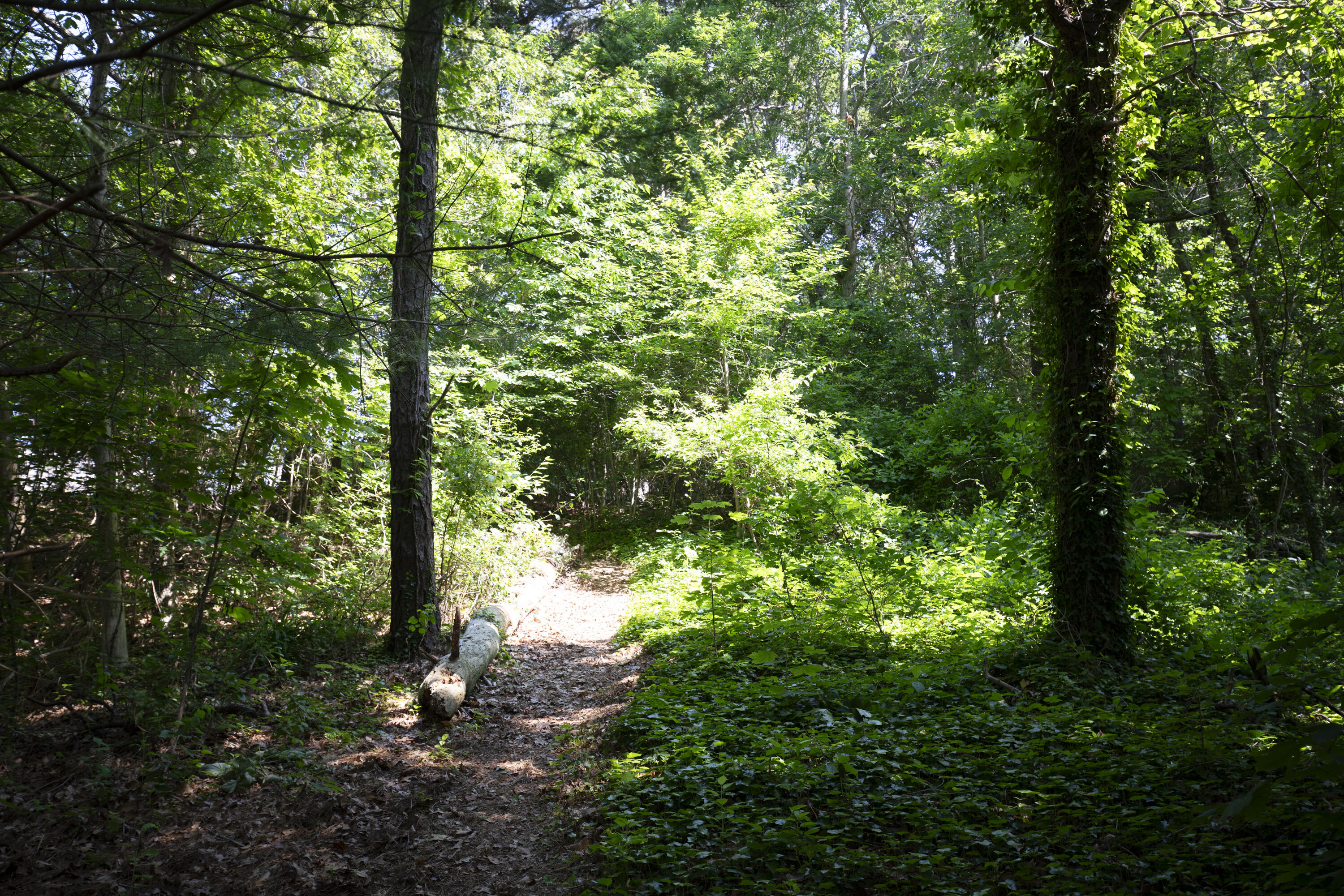 15 Wood Valley Road
