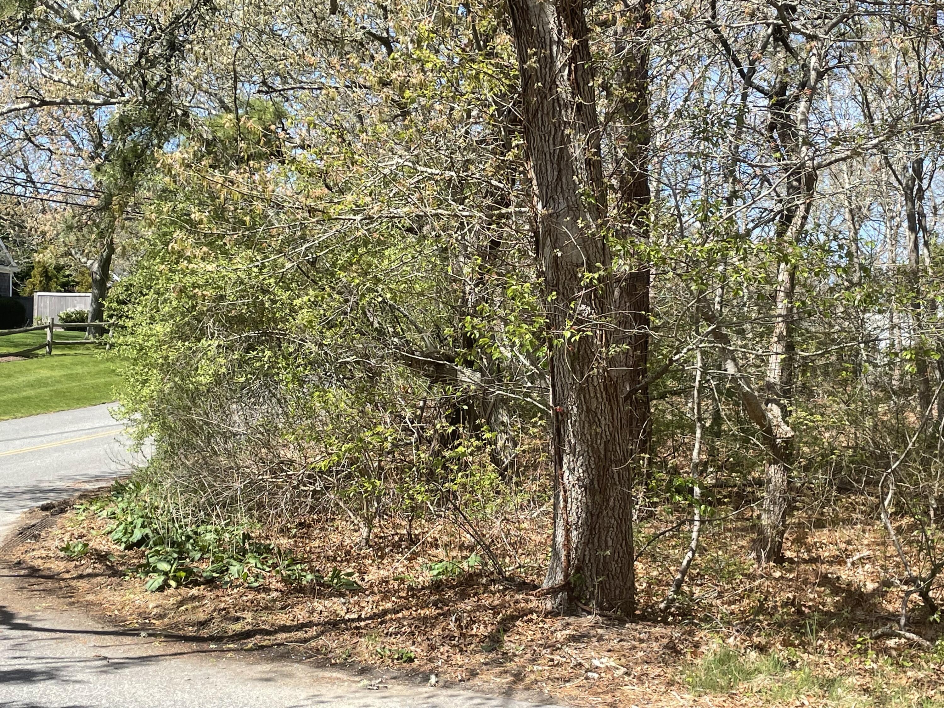 0 Woodland Way North Chatham MA