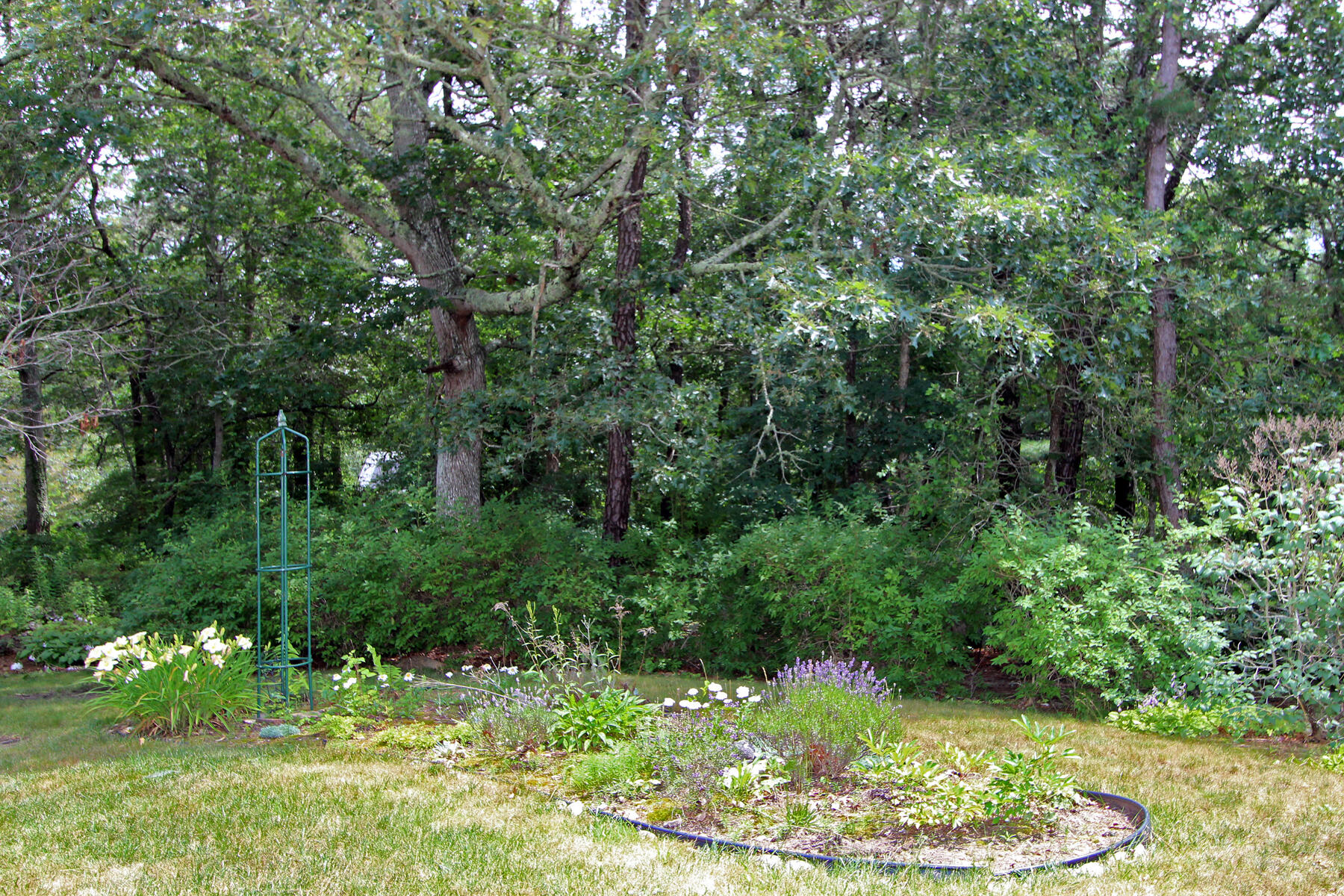 18 Chickadee Lane