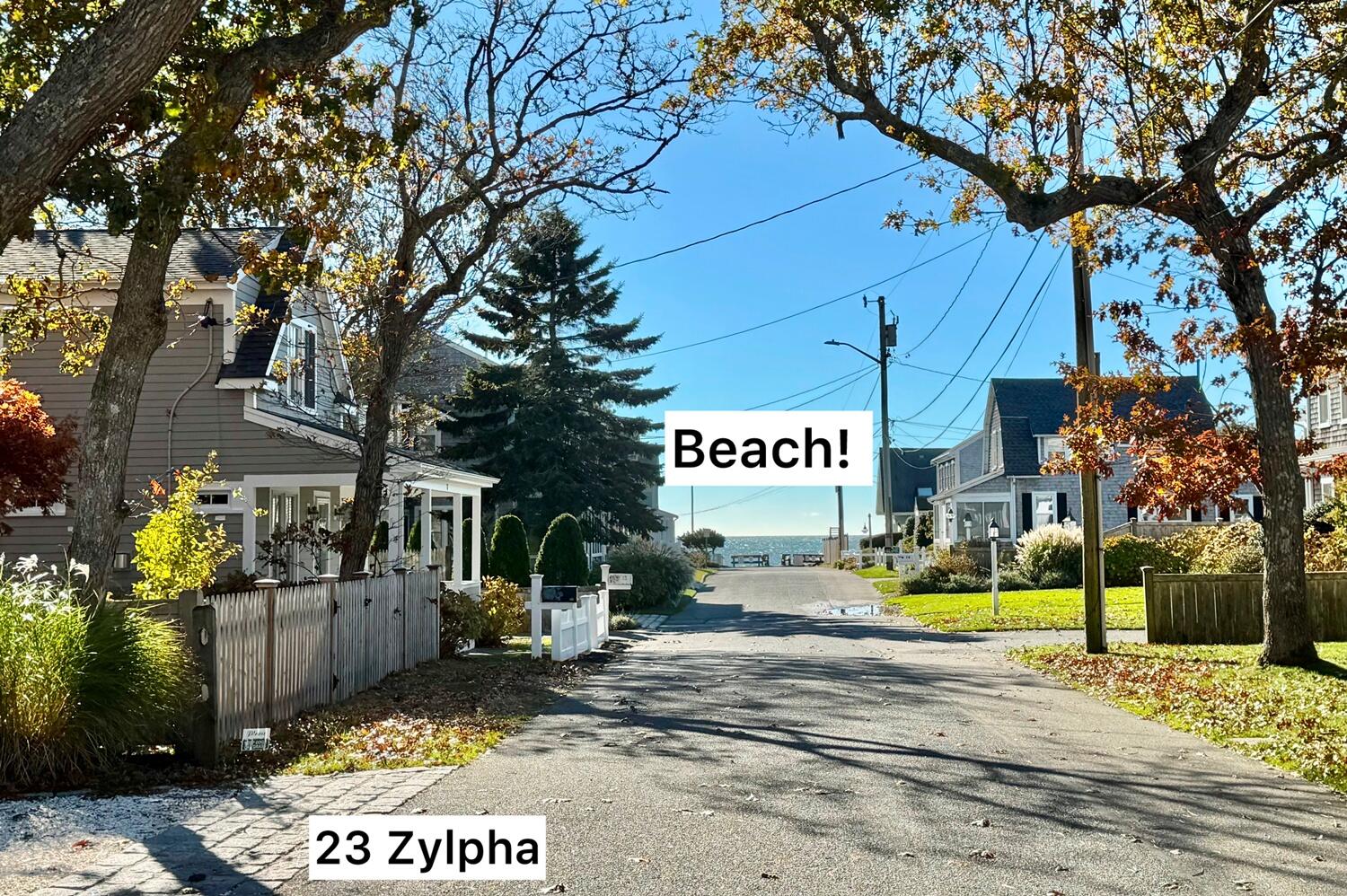 23 Zylpha Road