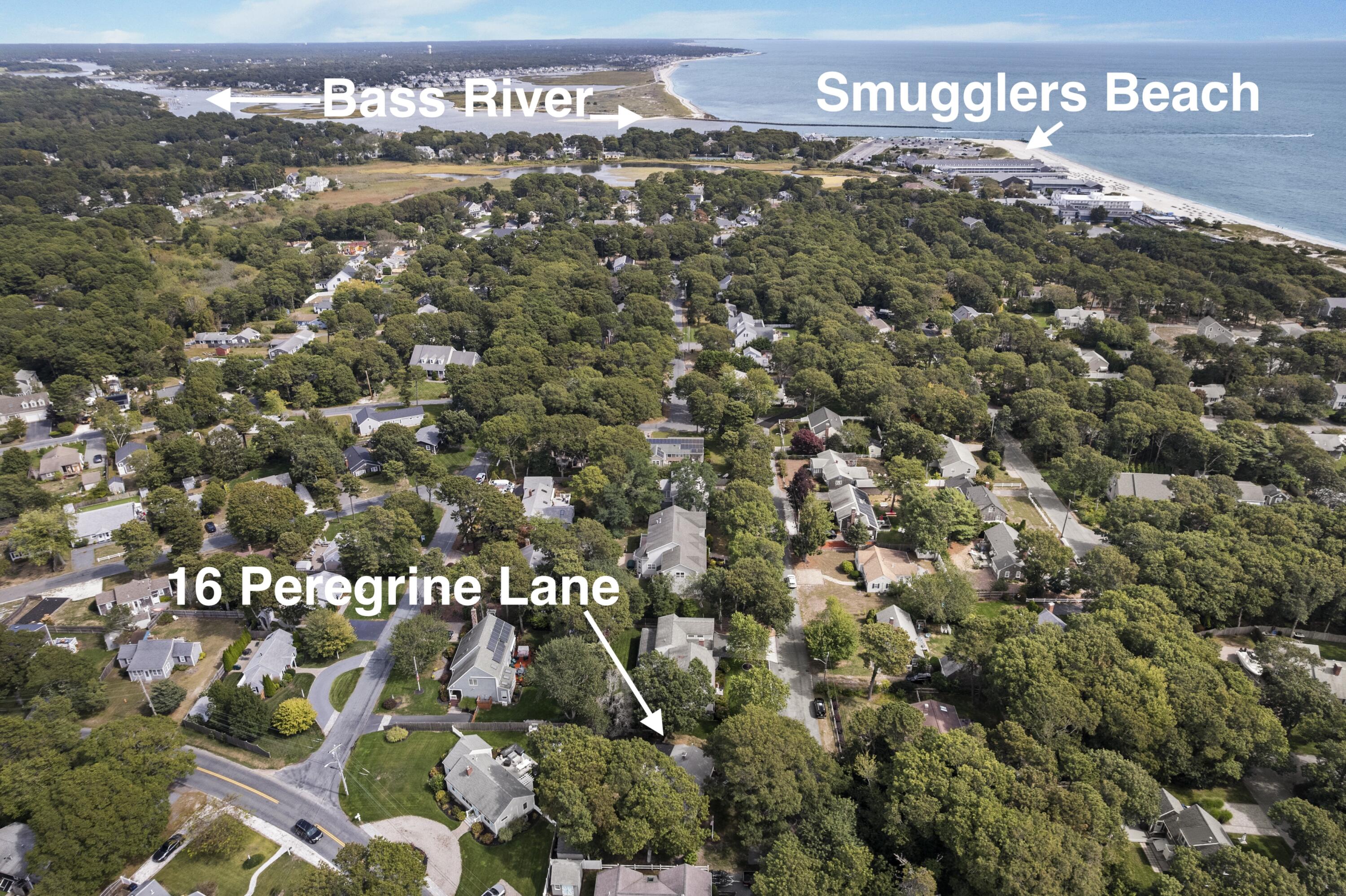 16 Peregrine Lane