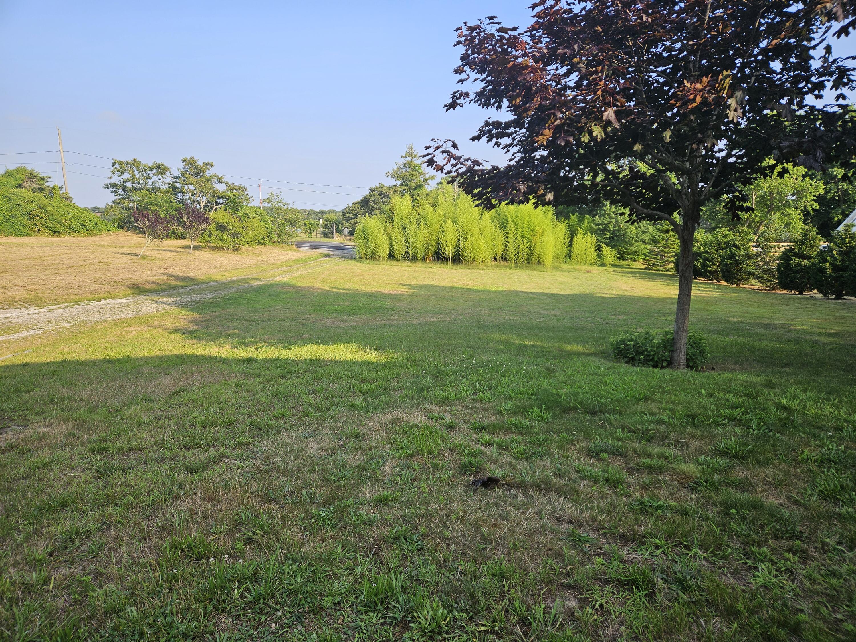 181 George Ryder Road