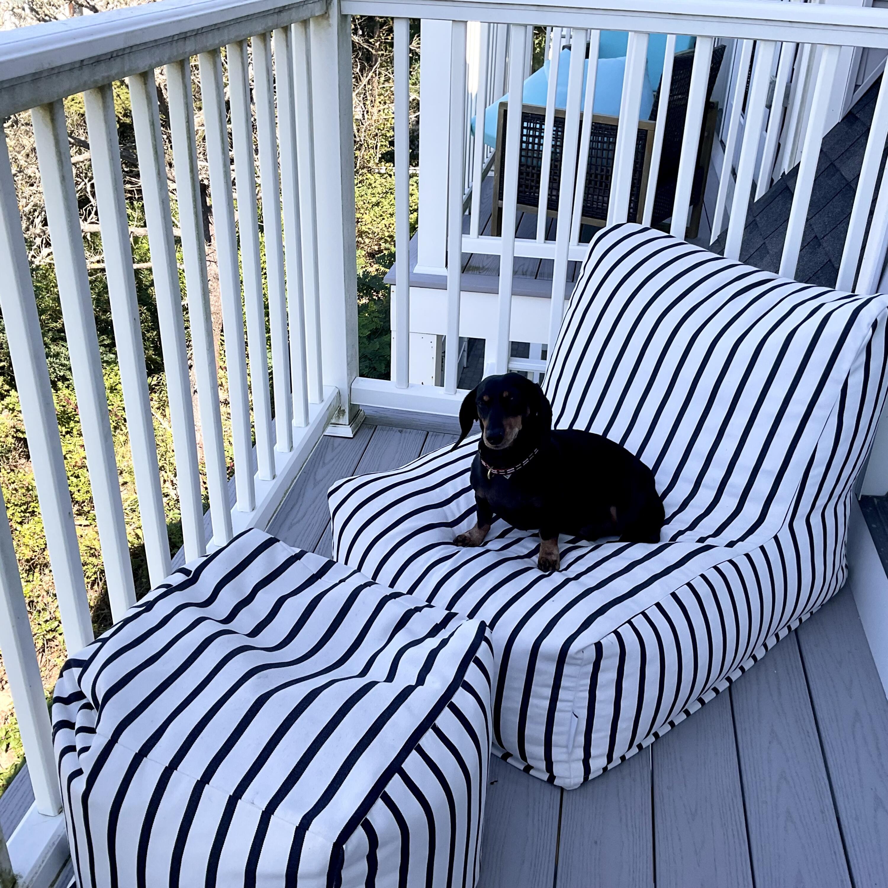 9 Chase Avenue # 6 Unit: U-6