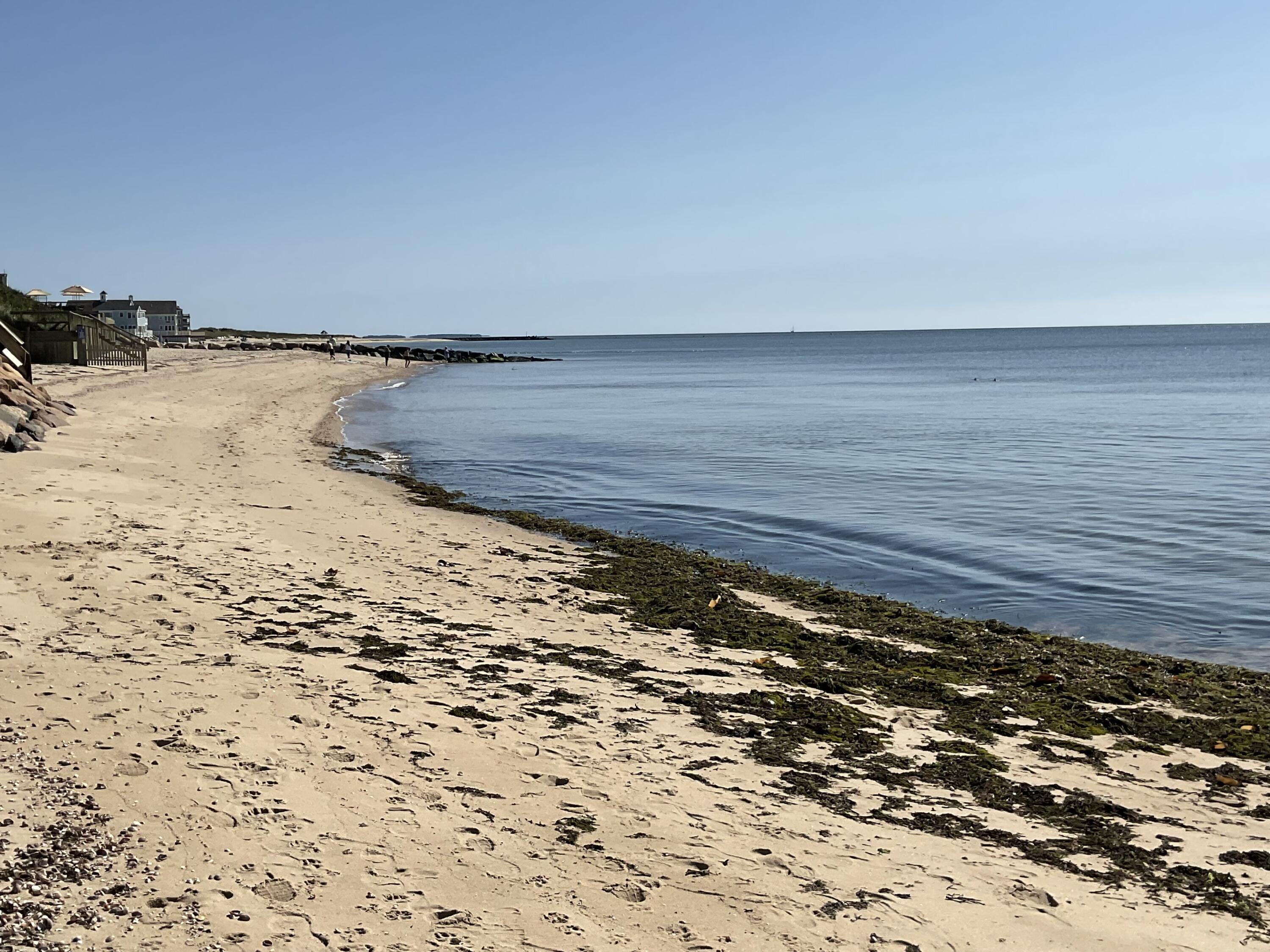 9 Chase Avenue # 6 Unit: U-6