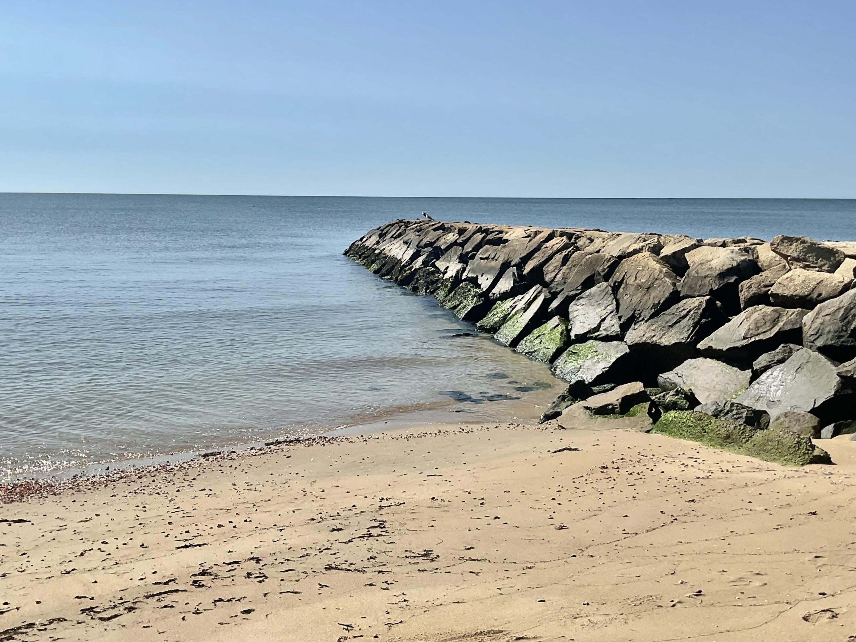 9 Chase Avenue # 6 Unit: U-6