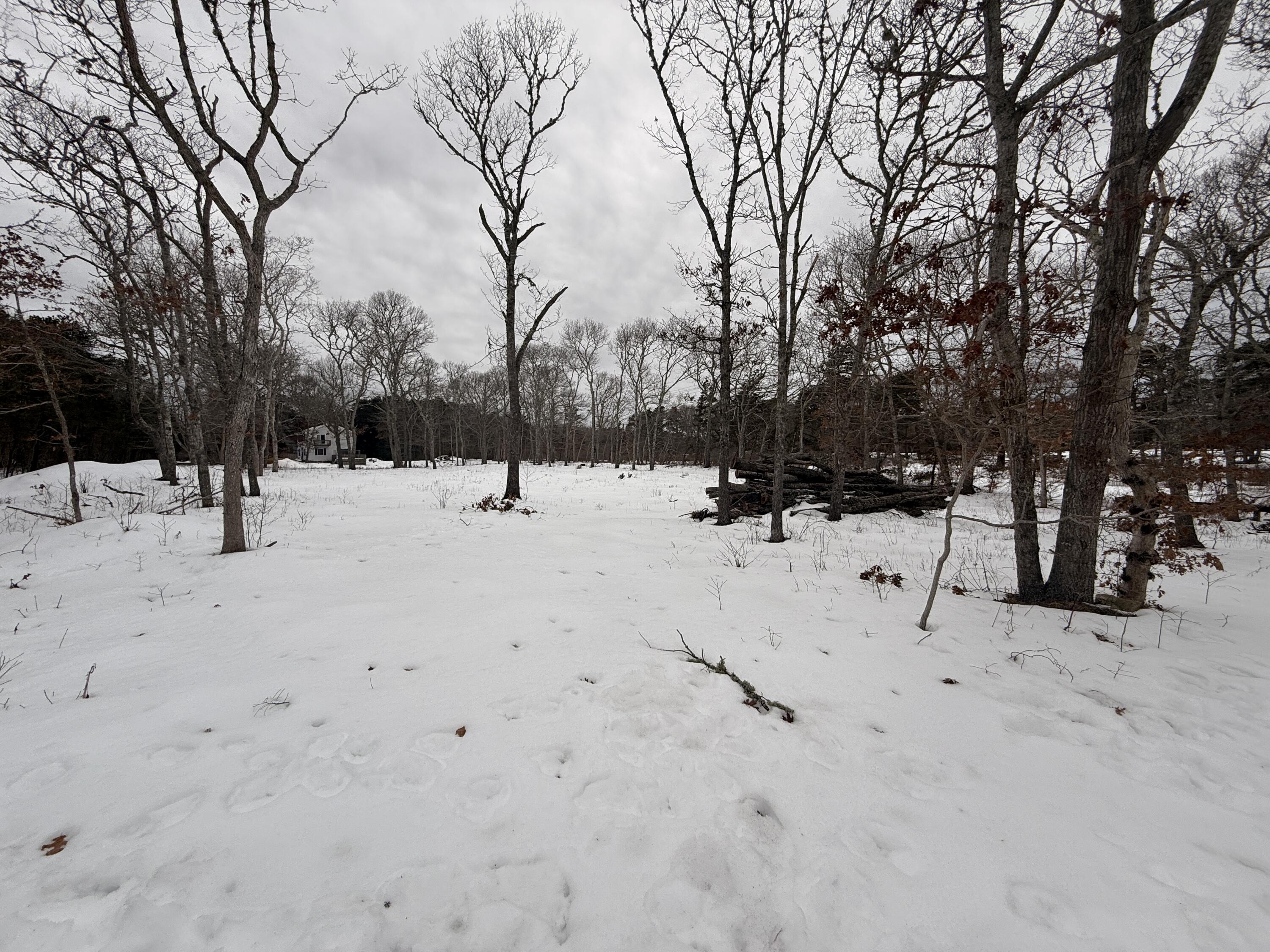 0 Old Chatham rd. Road