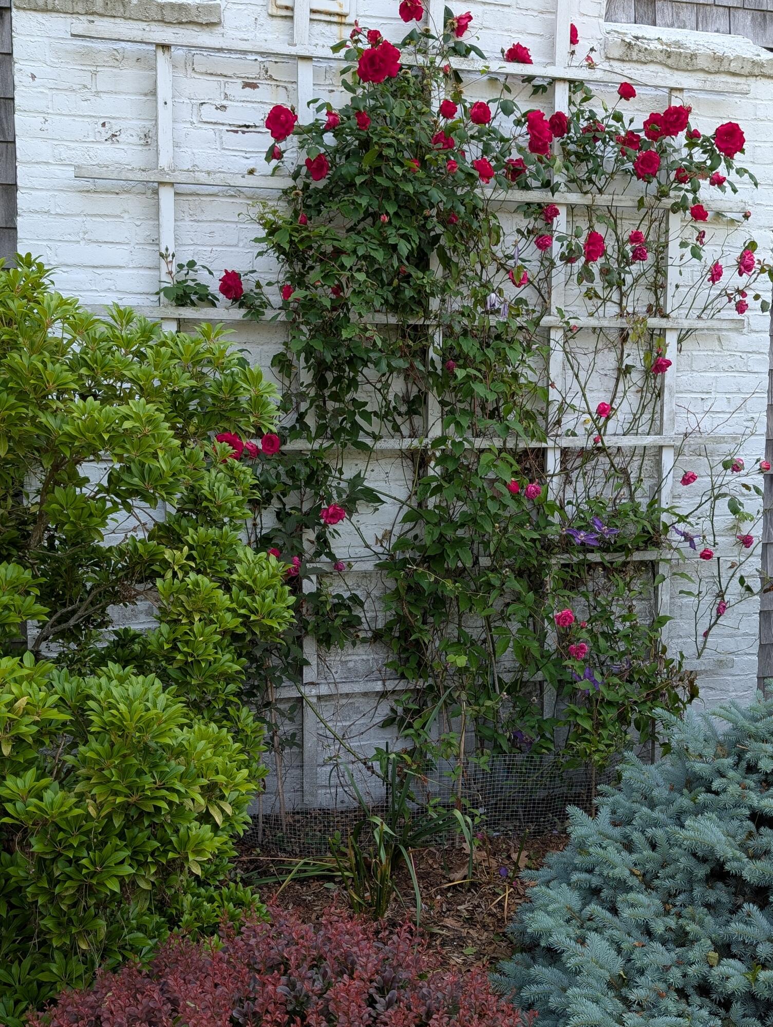 16 Old Salt Works Road