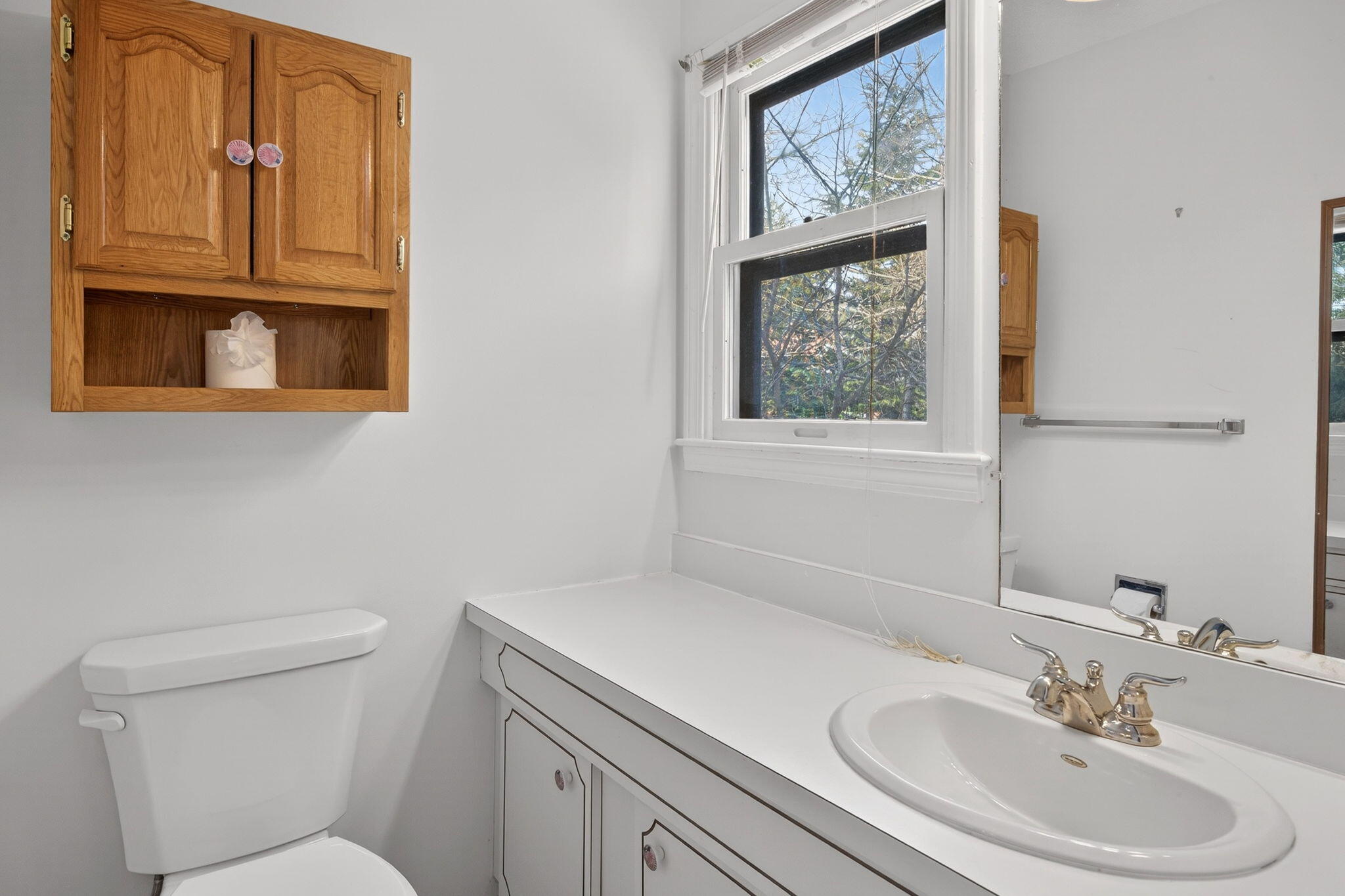 14 Harold Street APT 14E