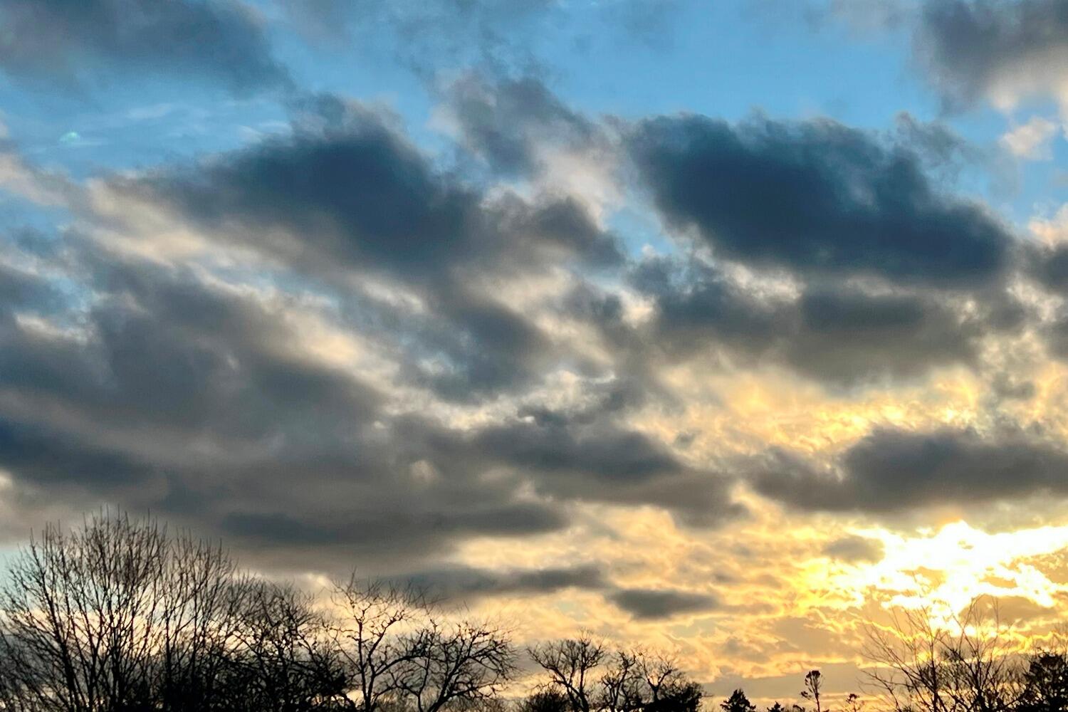 912 Main Street Unit 308