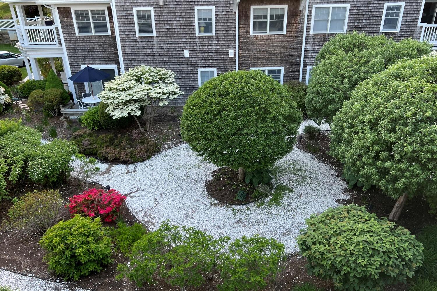 912 Main Street Unit 308