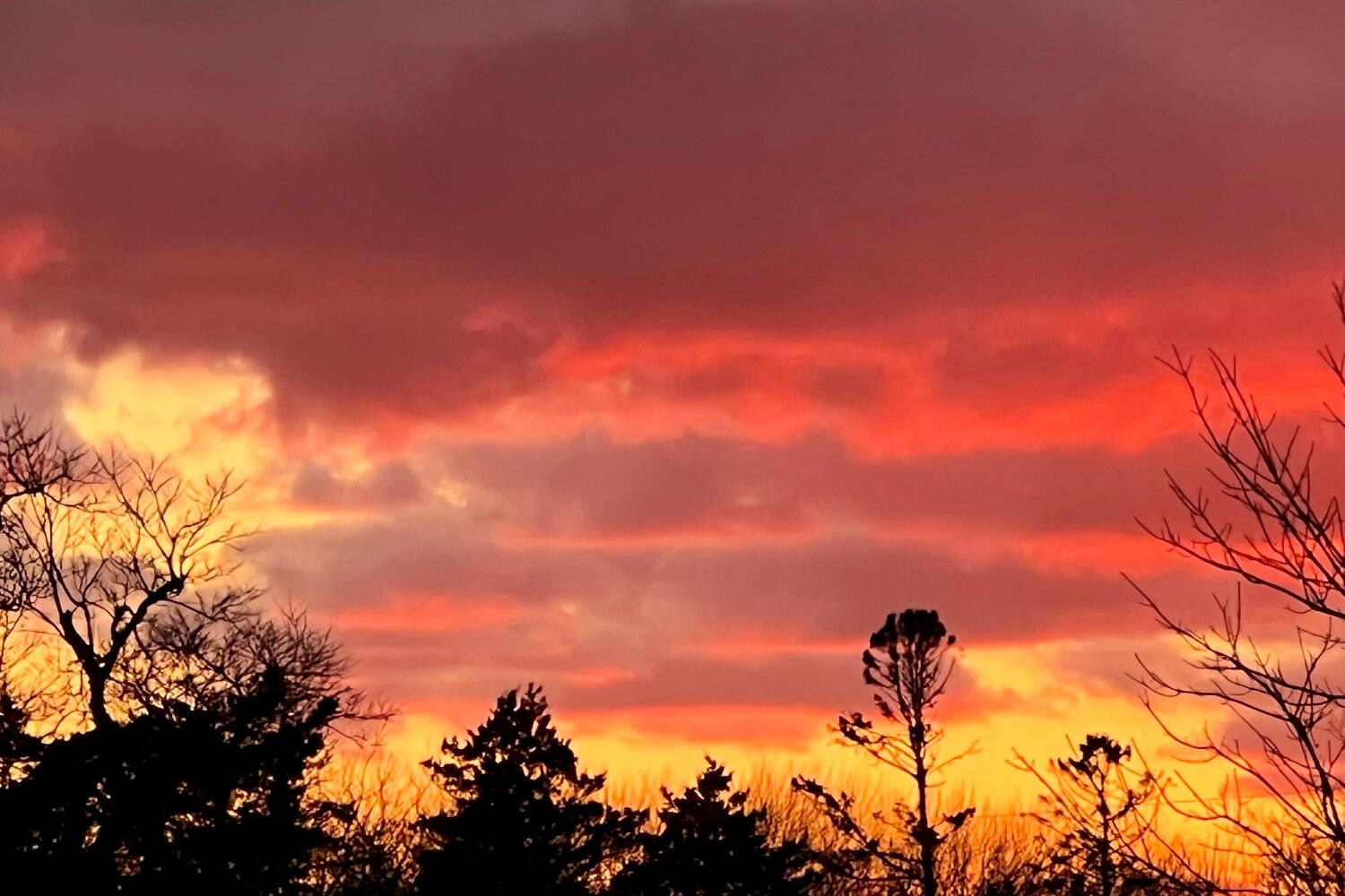 912 Main Street Unit 308