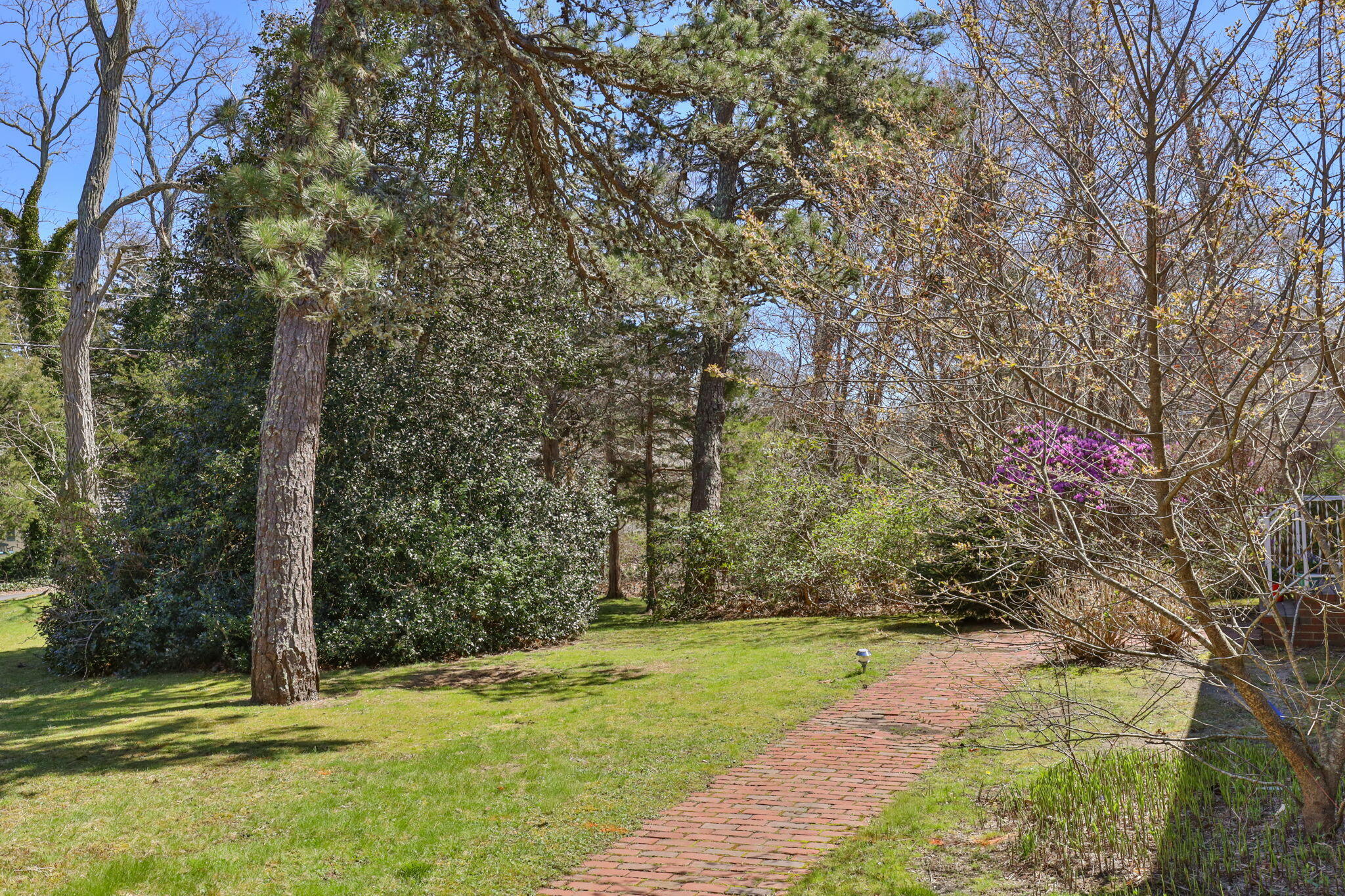 14 Deerwood Lane