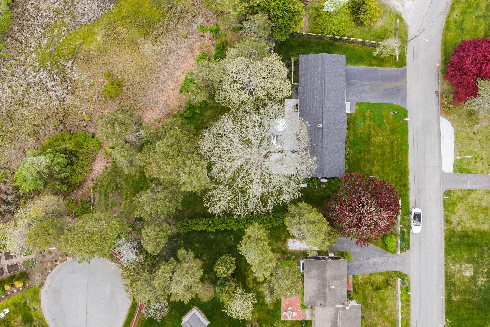 99 Shane Drive