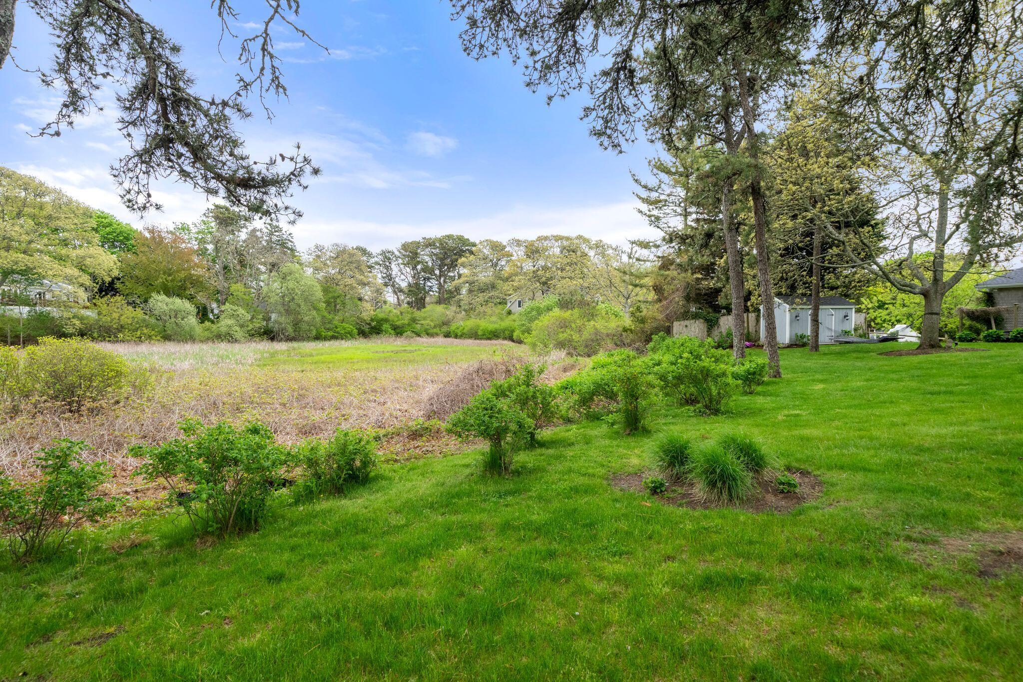 99 Shane Drive