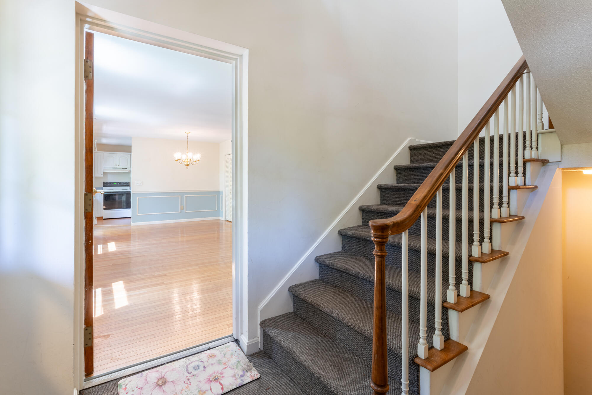 14 Harold Street APT 6B