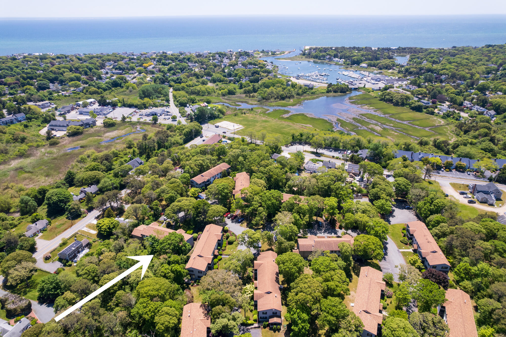 14 Harold Street APT 6B