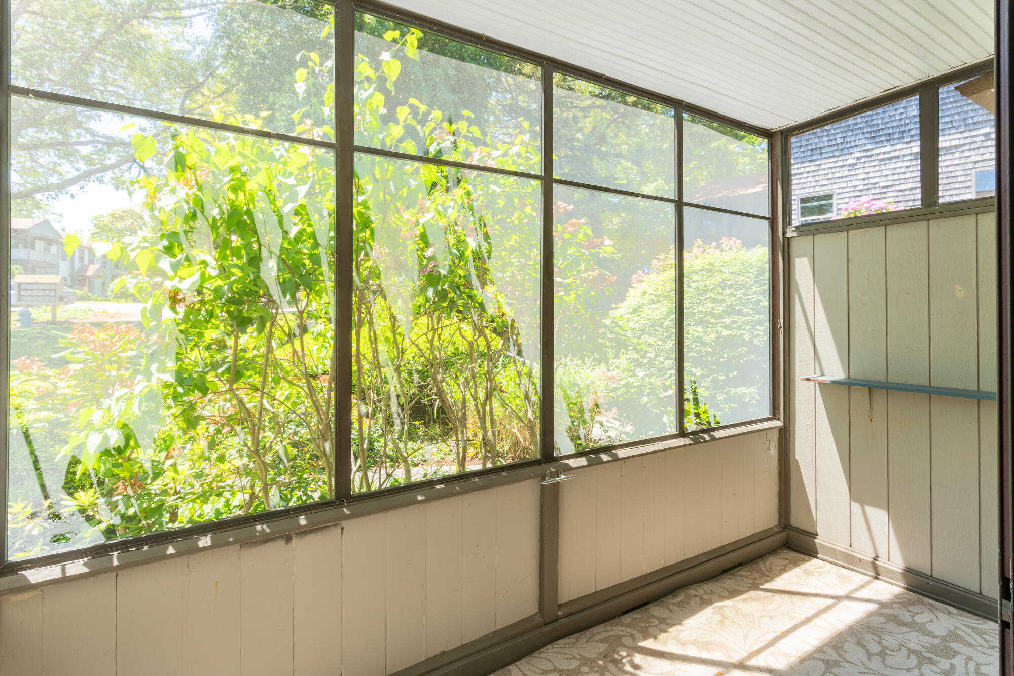 14 Harold Street APT 6B
