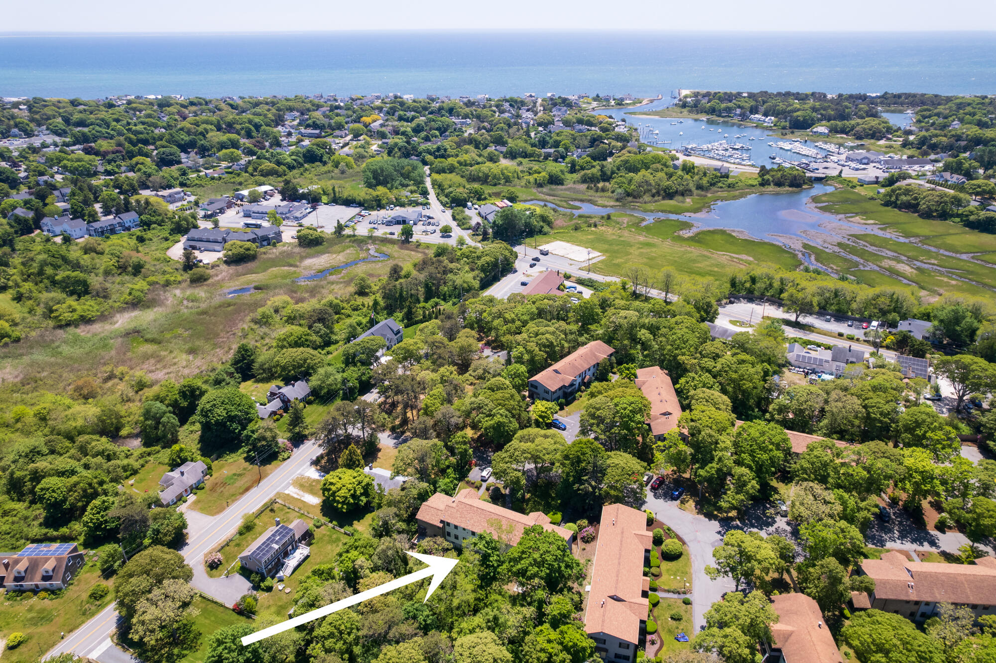 14 Harold Street APT 6B