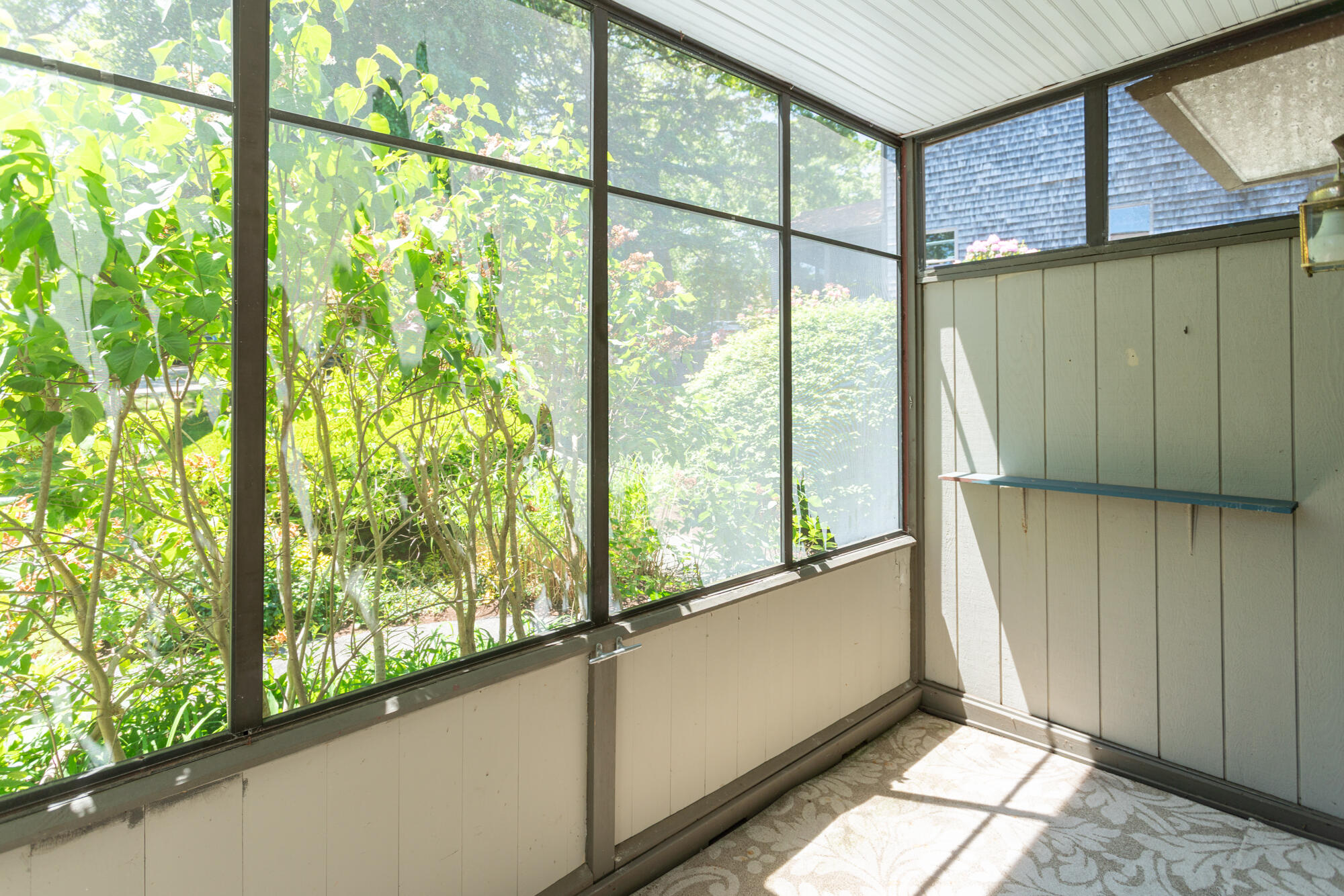 14 Harold Street APT 6B
