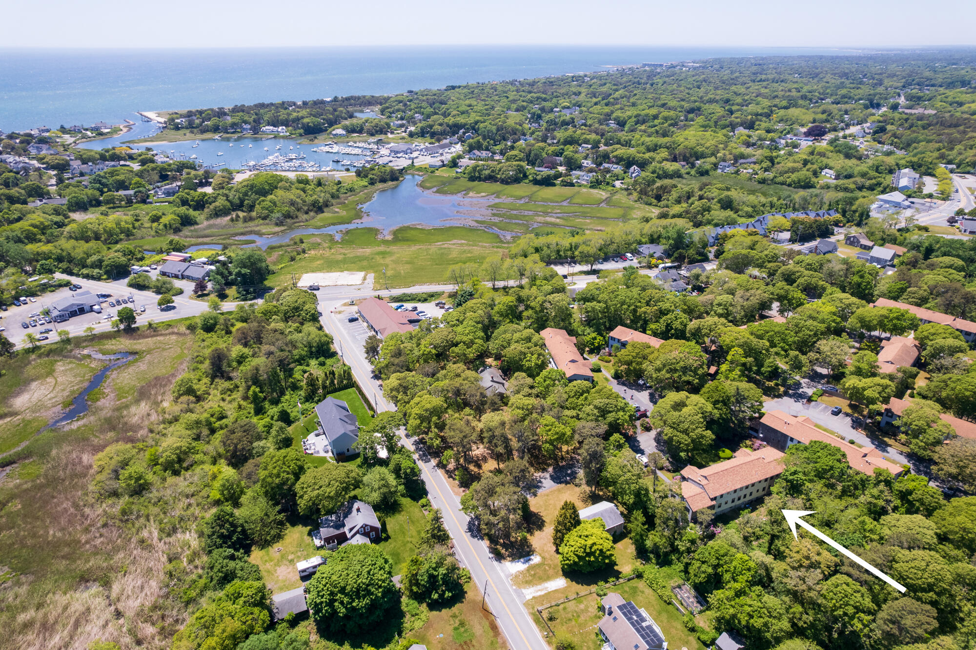 14 Harold Street APT 6B