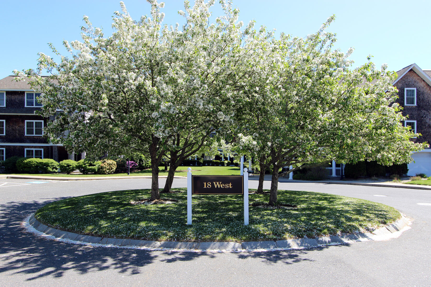 18 West Road UNIT 303