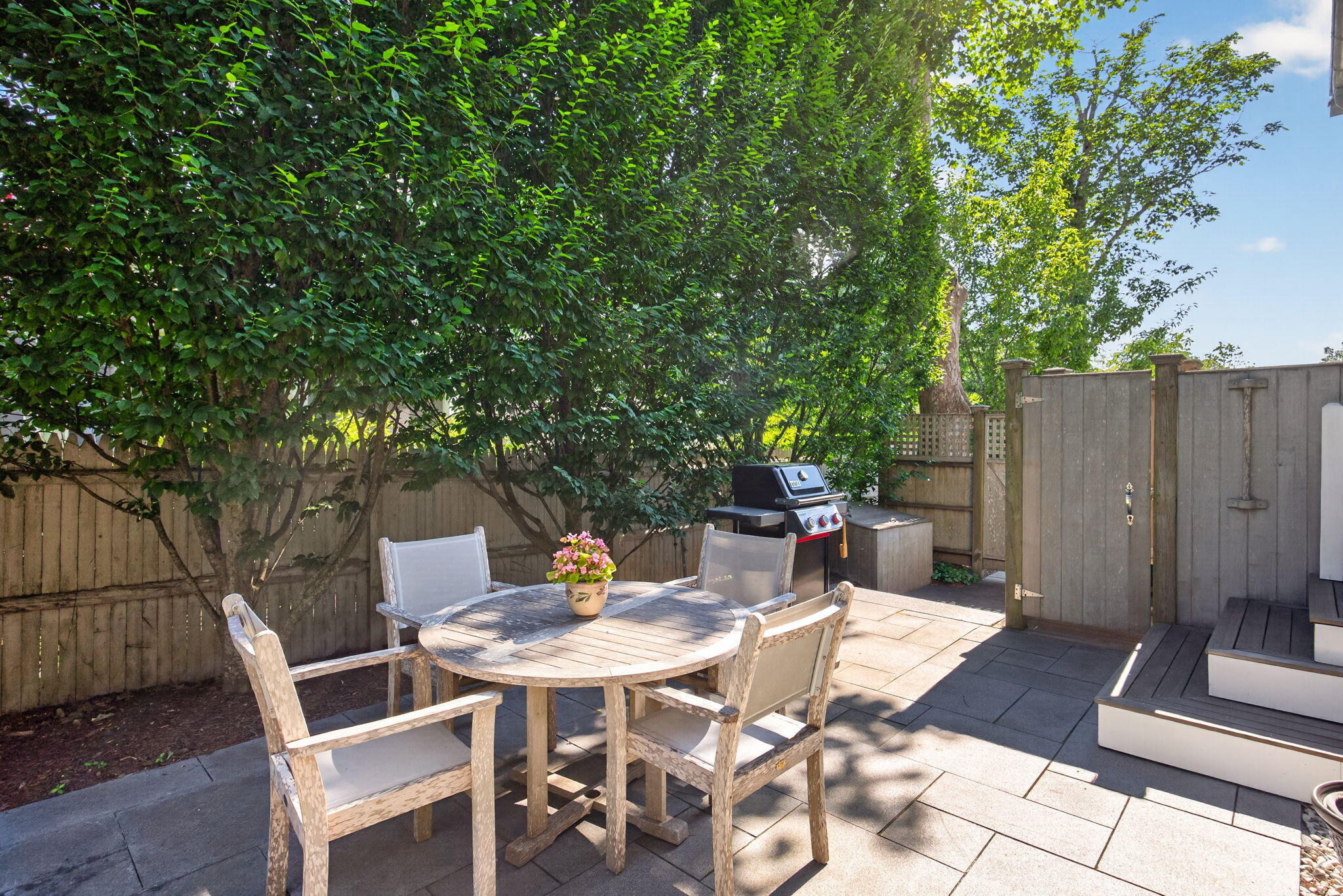 15 Shattuck Place UNIT 15