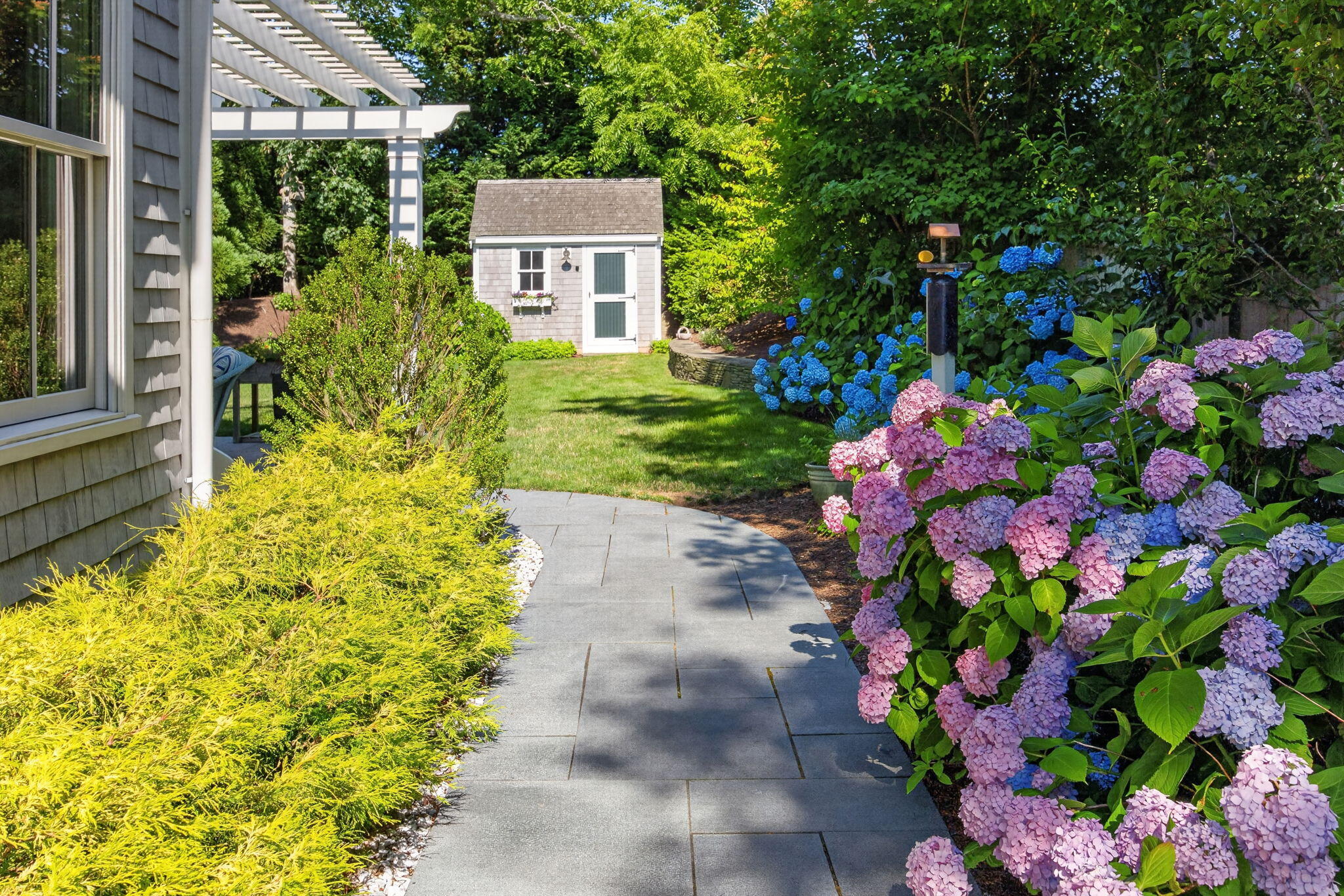 15 Shattuck Place UNIT 15