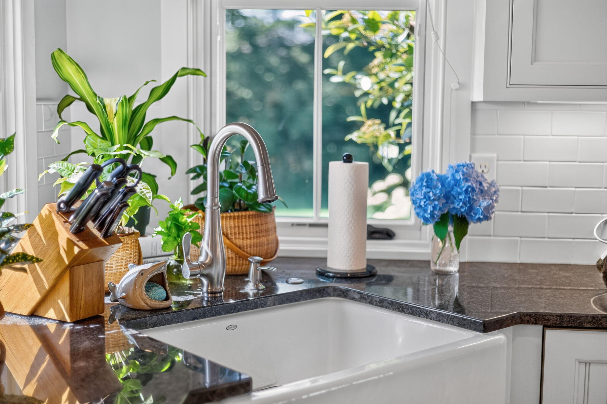 15 Shattuck Place UNIT 15