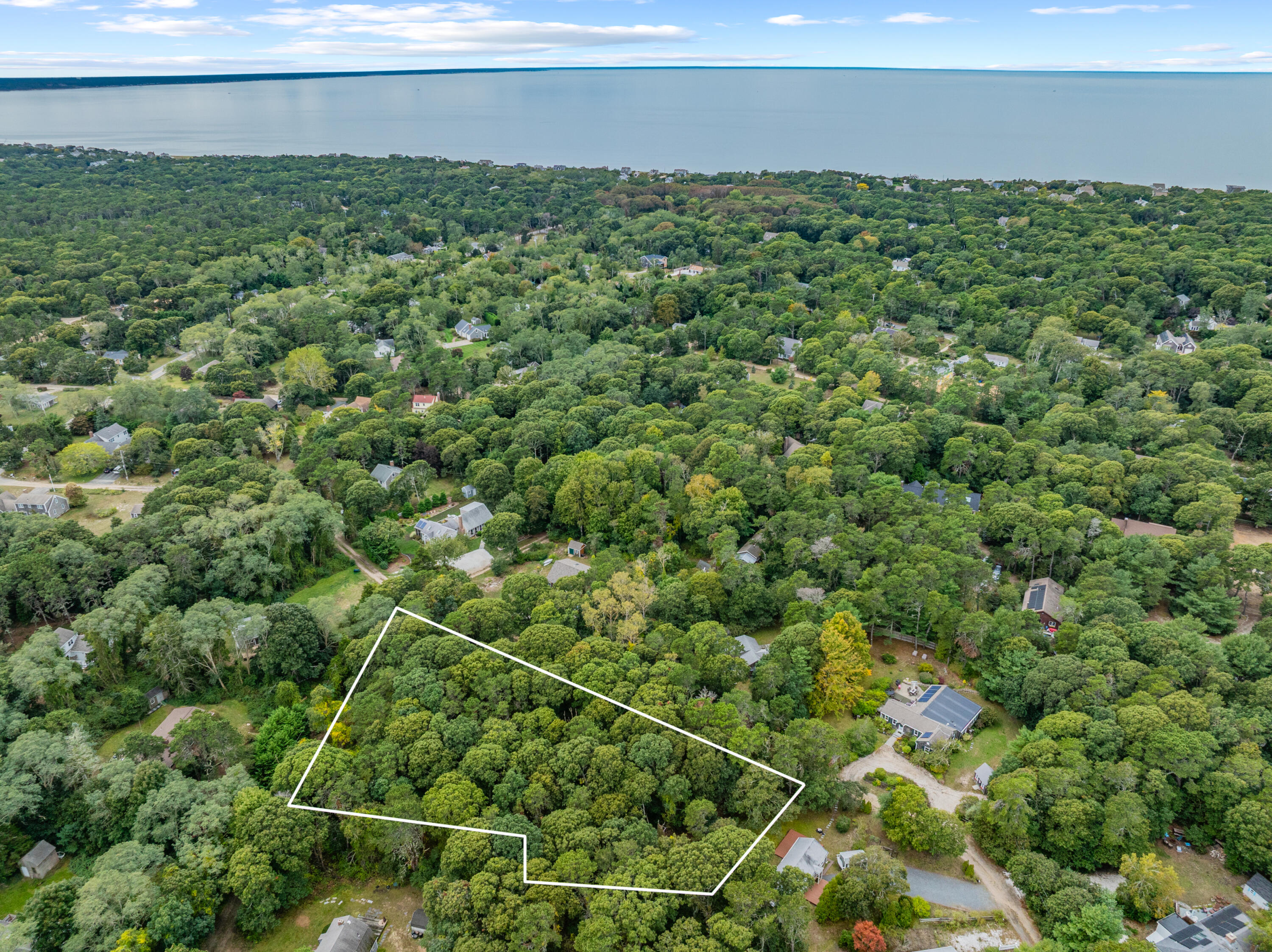 Aerial view of a wooded parcel outlined in white, with coastal water beyond the surrounding homes.