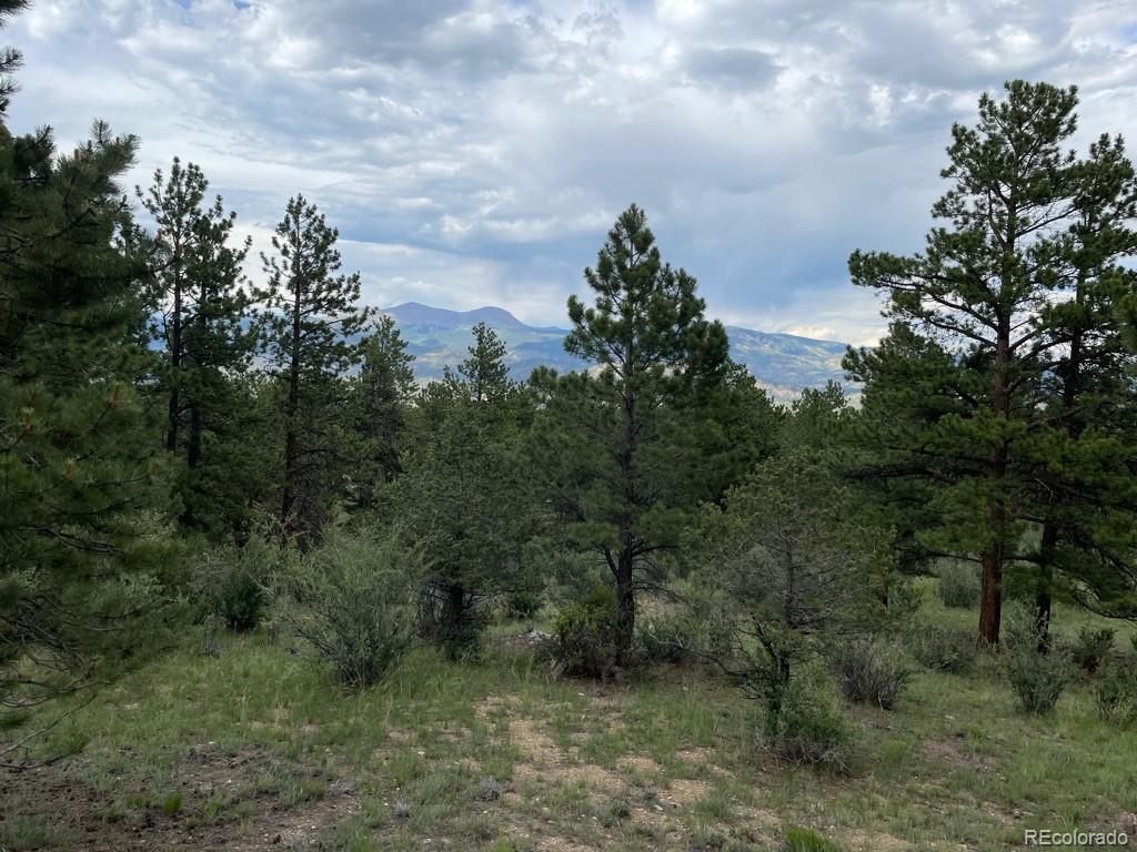 30675 Mountainside Drive