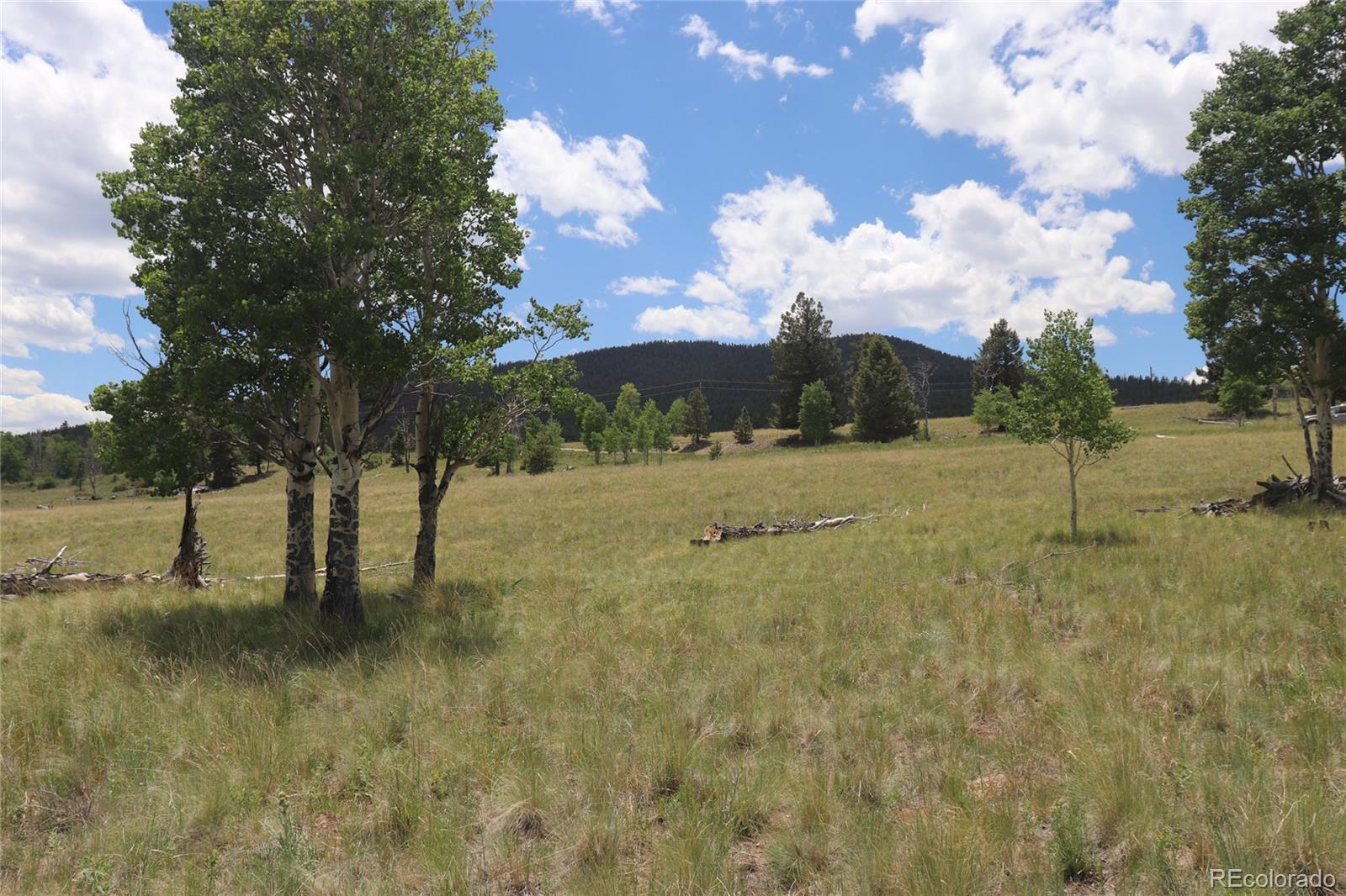 2178 Pitchfork Road