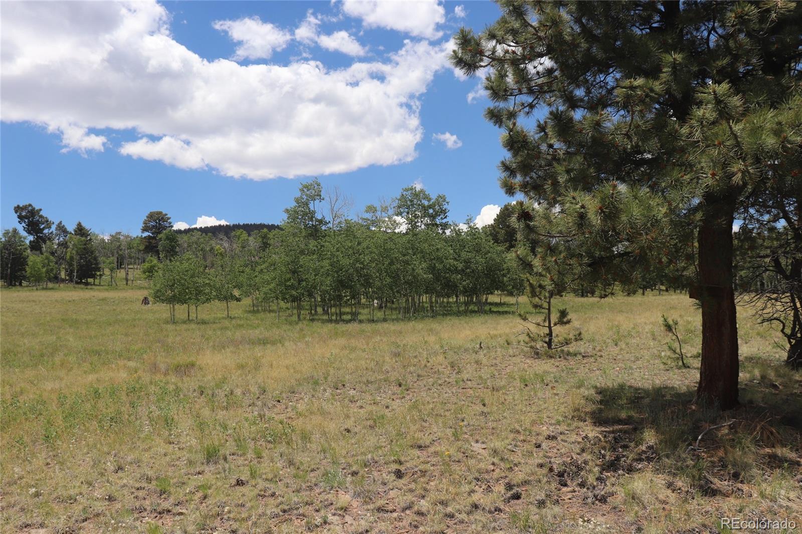 2178 Pitchfork Road