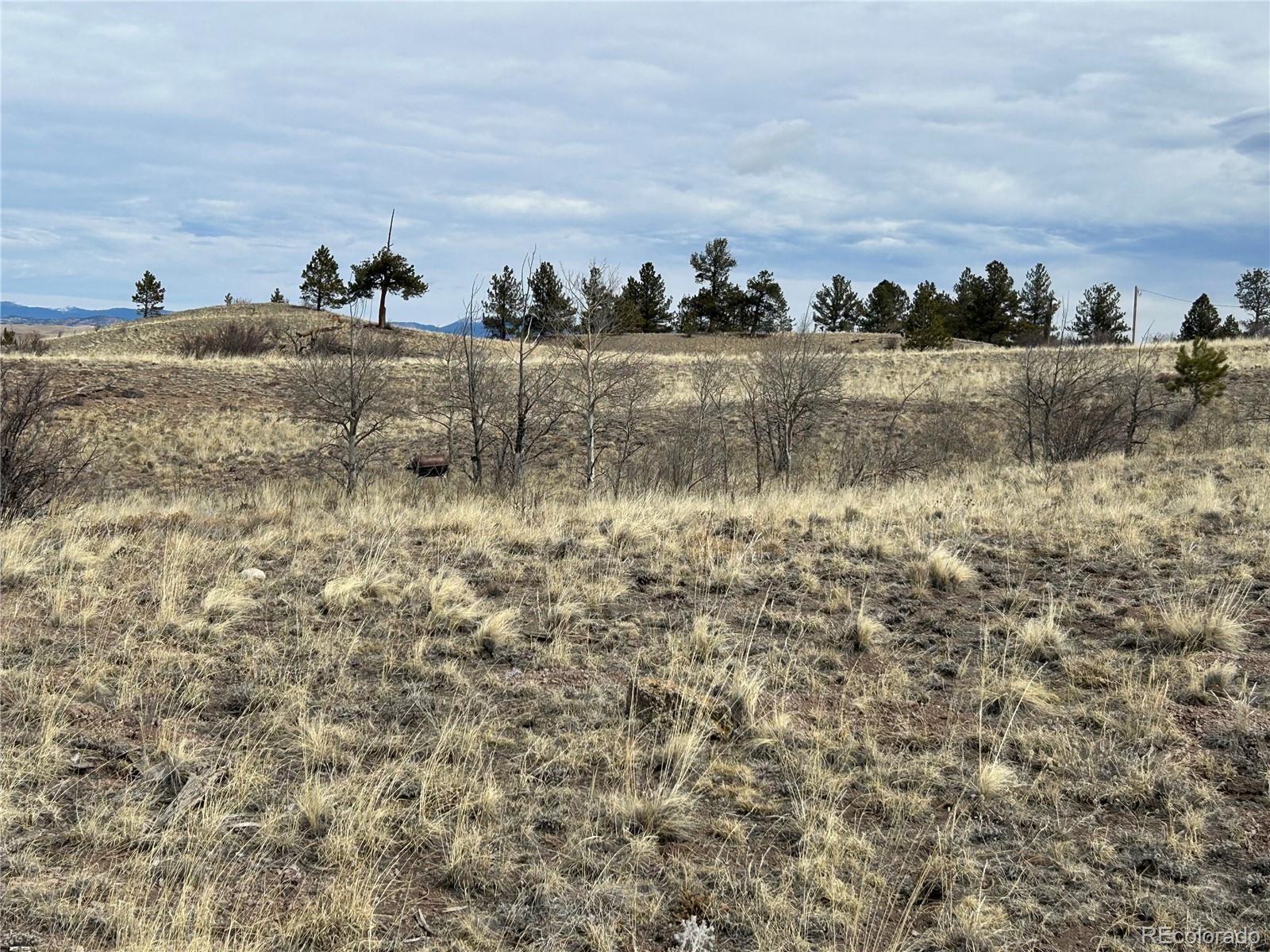 443 Saddle Horn Road
