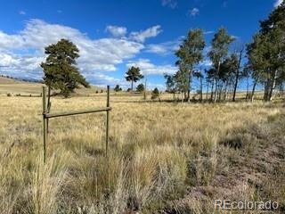 443 Saddle Horn Road