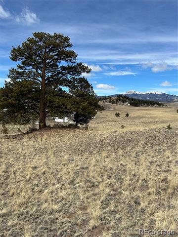 443 Saddle Horn Road