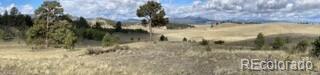 443 Saddle Horn Road