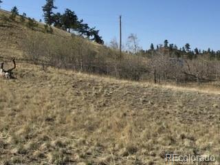 443 Saddle Horn Road